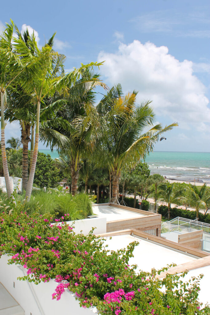 View from the main pool area at 1 Hotel South Beach