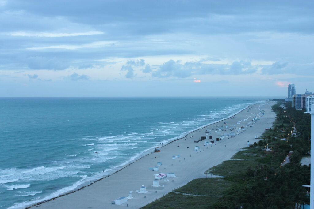 Views from the roof at 1 Hotel South Beach
