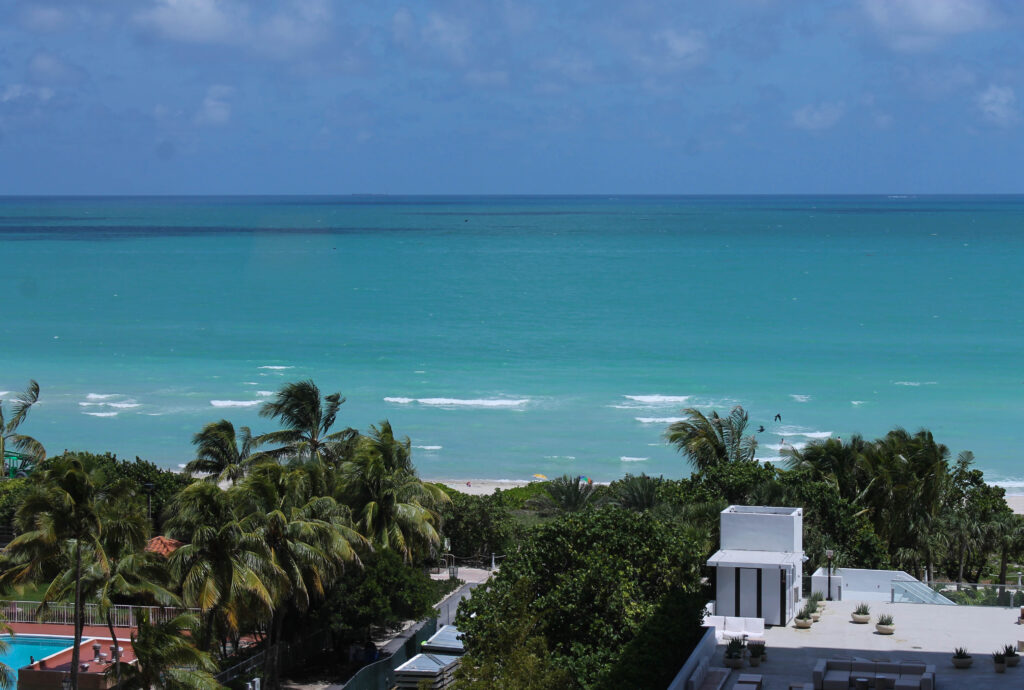 View from our room at 1 Hotel South Beach
