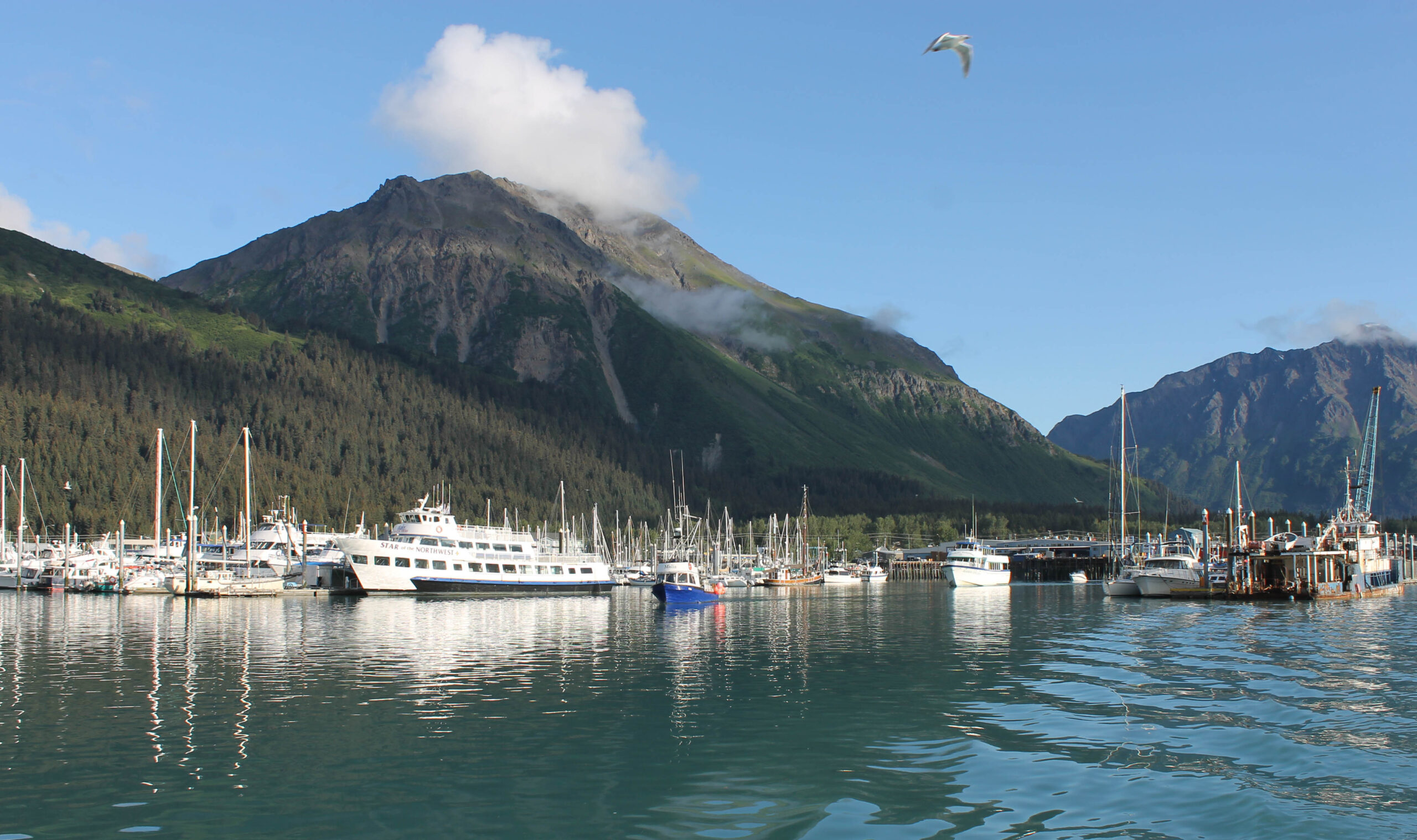 Views of Seward harbor from our kayaking boat
