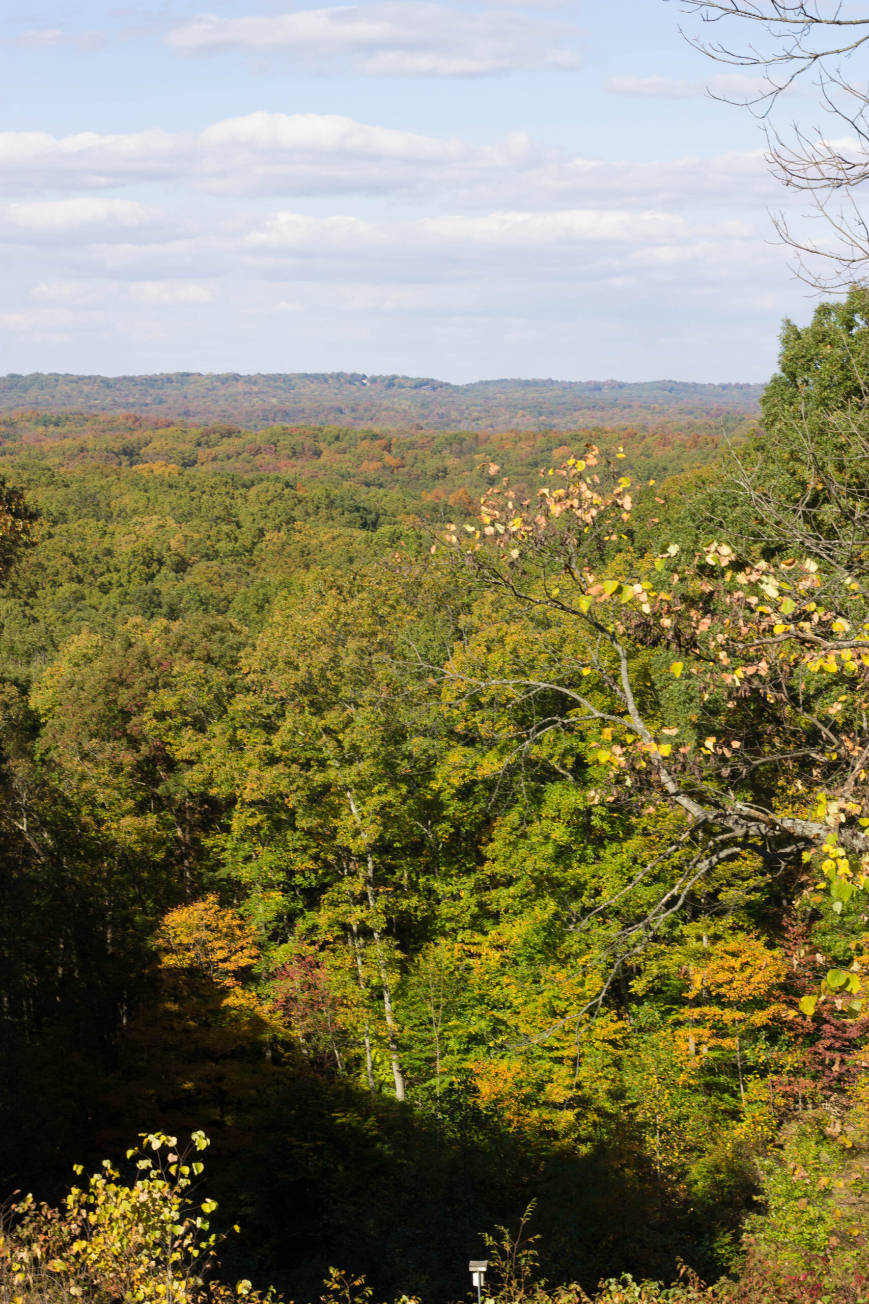 Scenic overlook at Brown County State Park