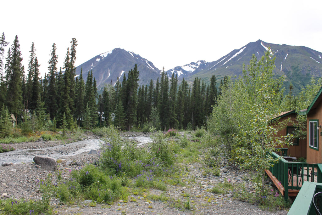 View from our back porch at McKinley Creekside Cabins, our hotel near Denali National Park