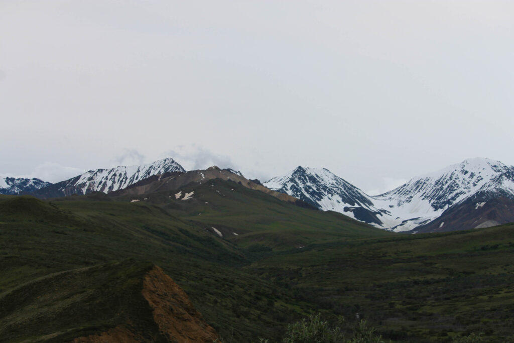 Mountain views early on the road into Denali National Park