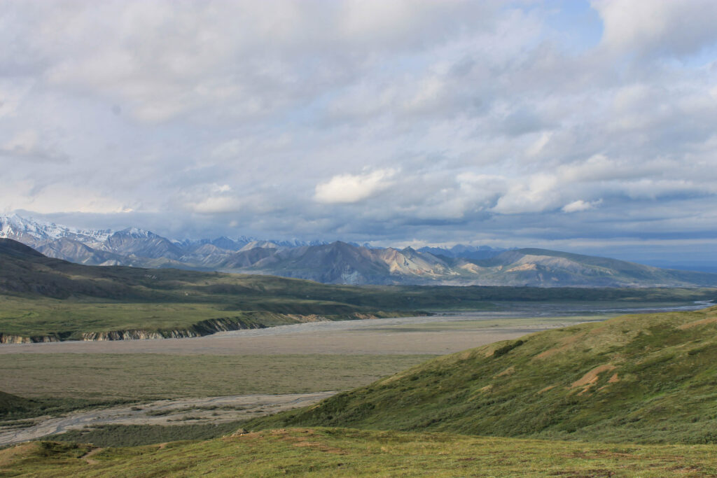 Views from Stony Hill Overlook in Denali National Park