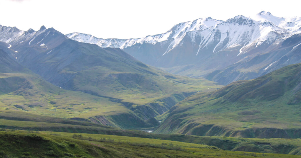 Views of snow-capped mountains and lush green landscapes from Eielson Visitor Center in Denali National Park