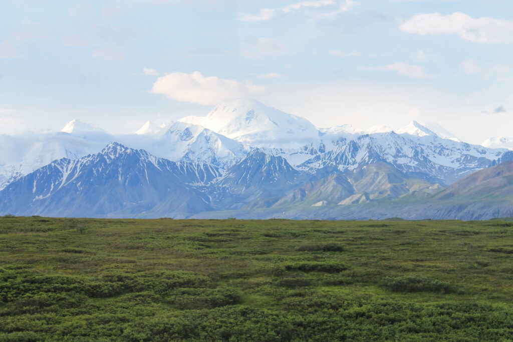 Views from the bus ride to Wonder Lake in Denali National Park
