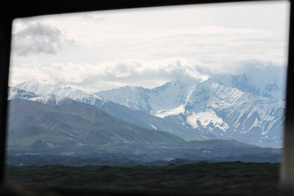 Views out the bus window on our journey along the Denali Park Road