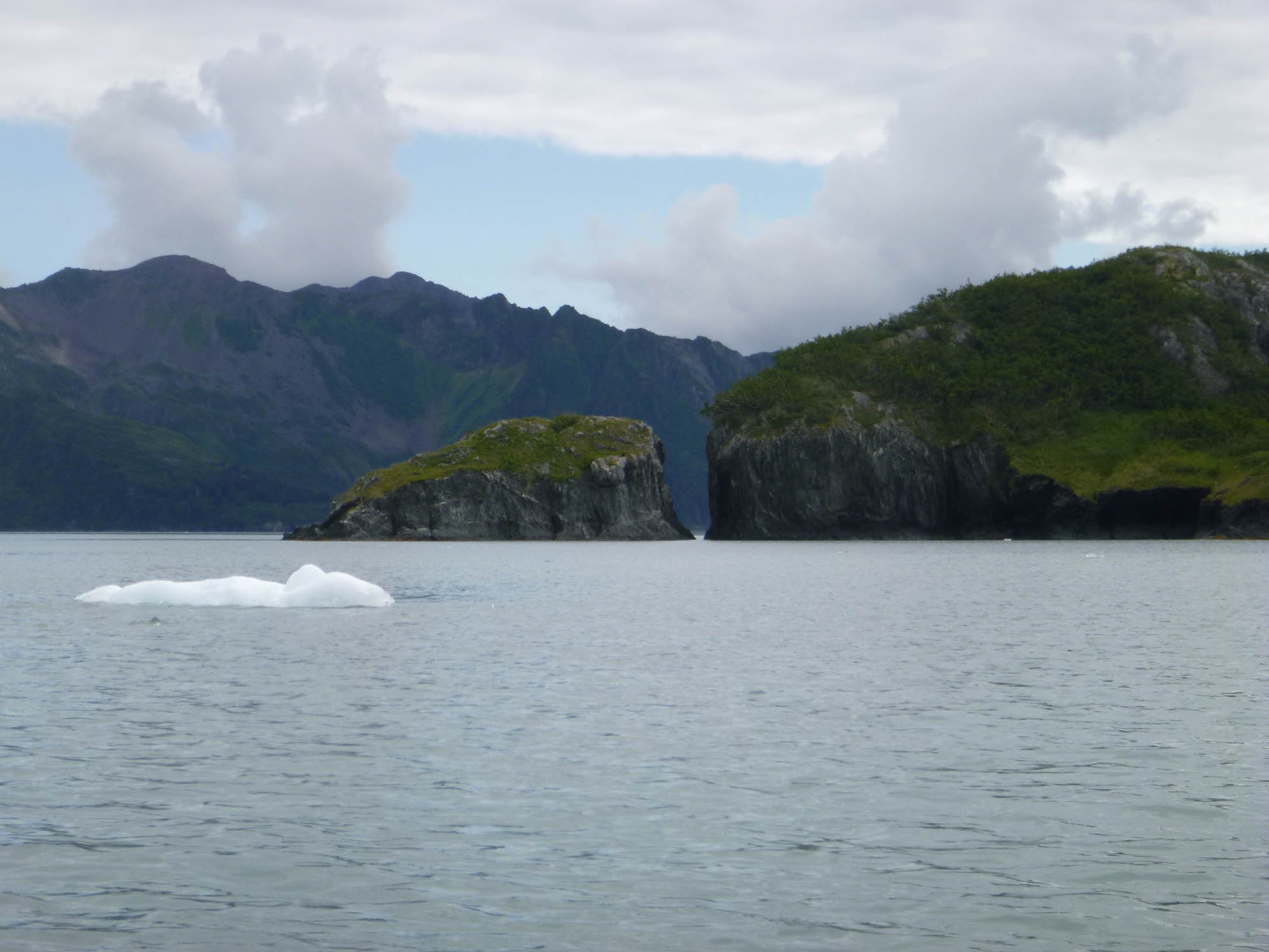 Aialik Bay with a floating iceberg in the foreground