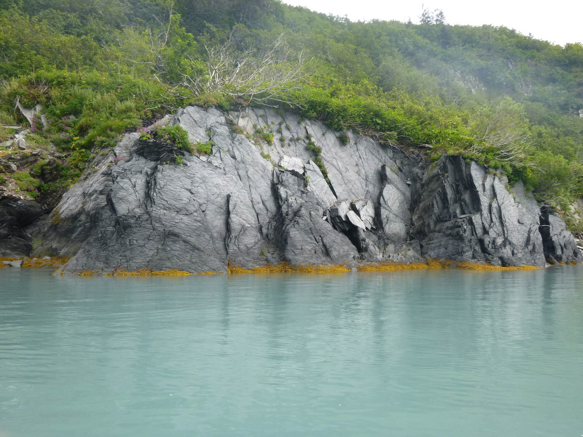 Paddling in Aialik Bay, Kenai Fjords National Park