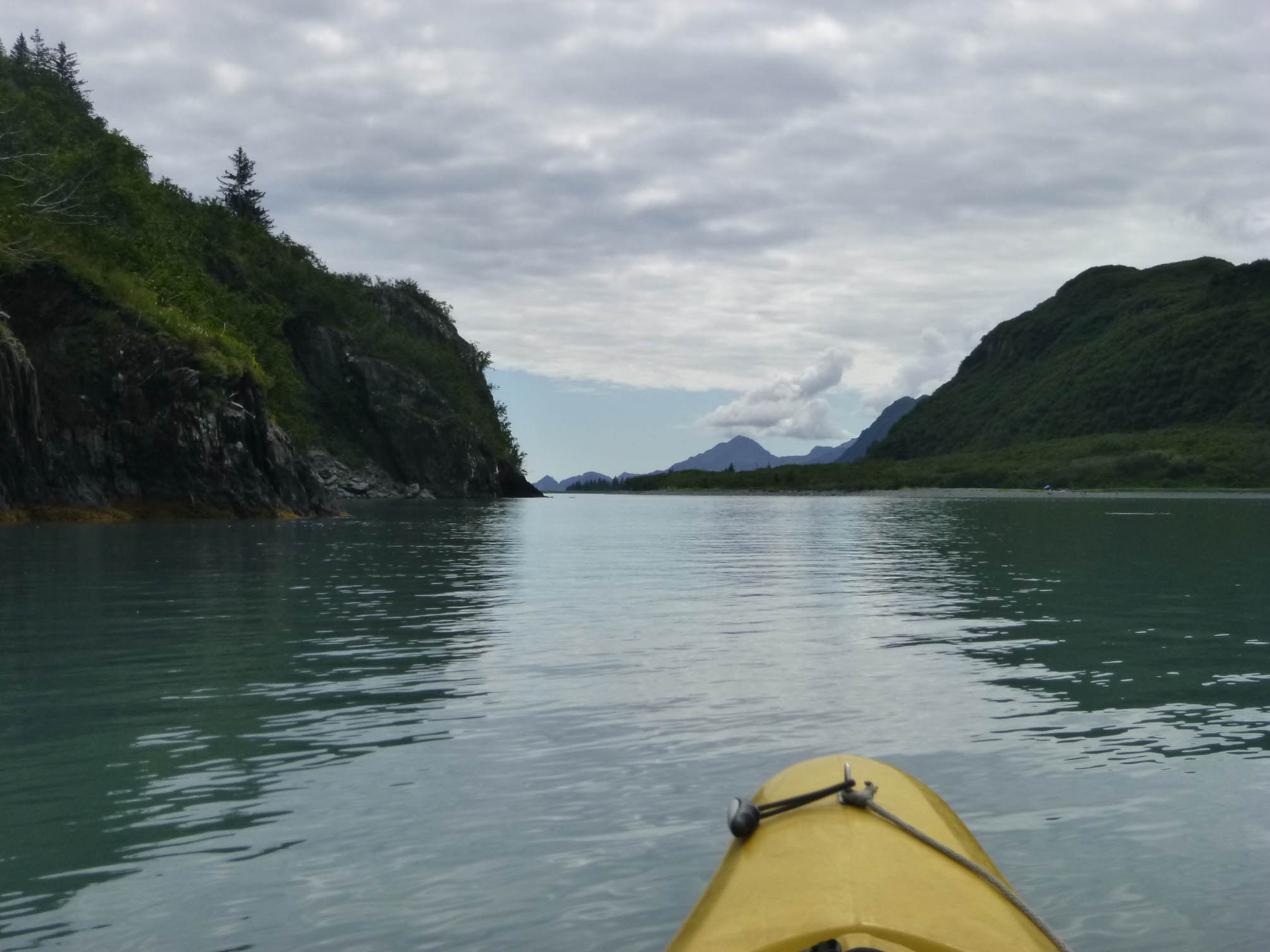 Aialik Bay as seen from my kayak