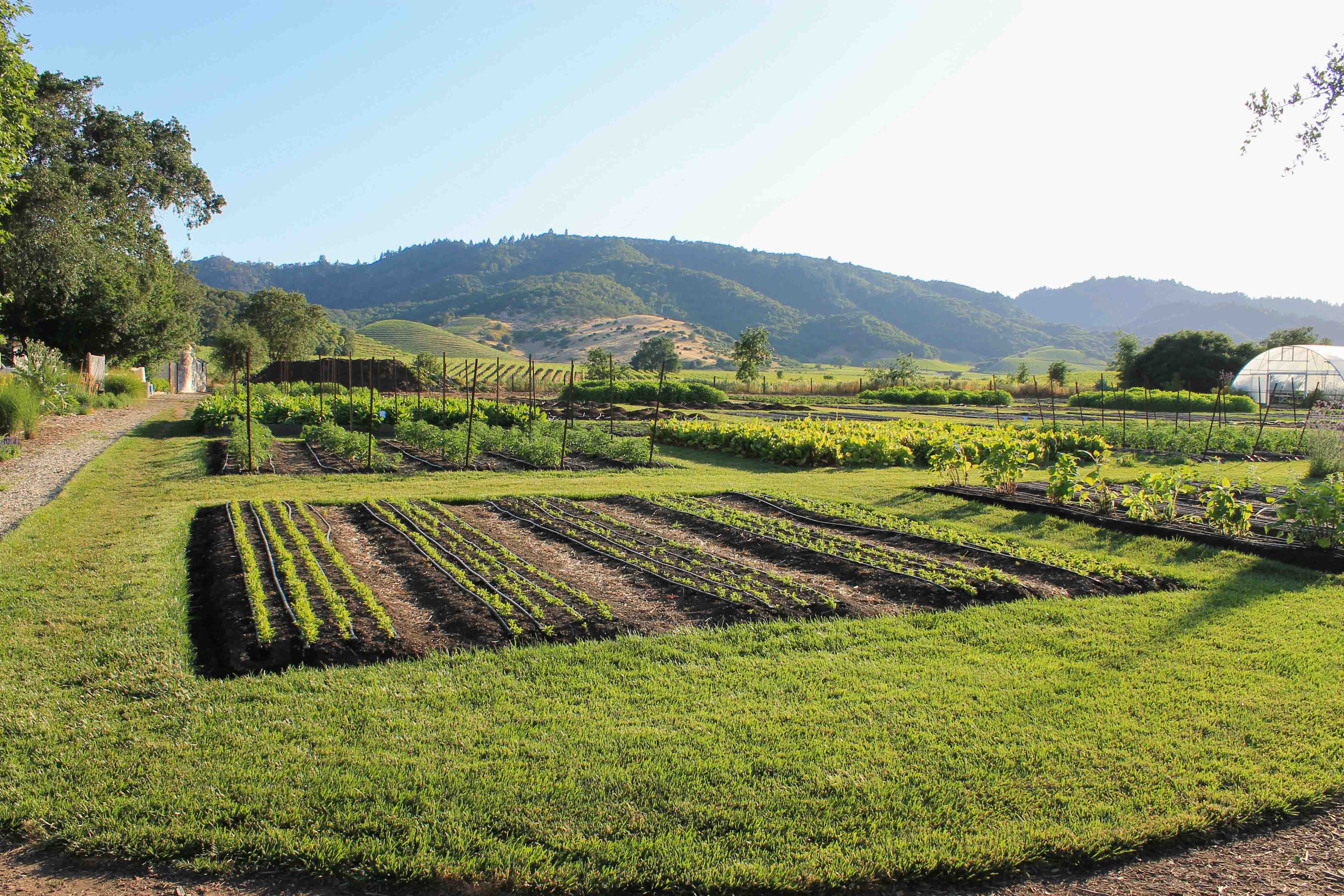 Gardens at The French Laundry