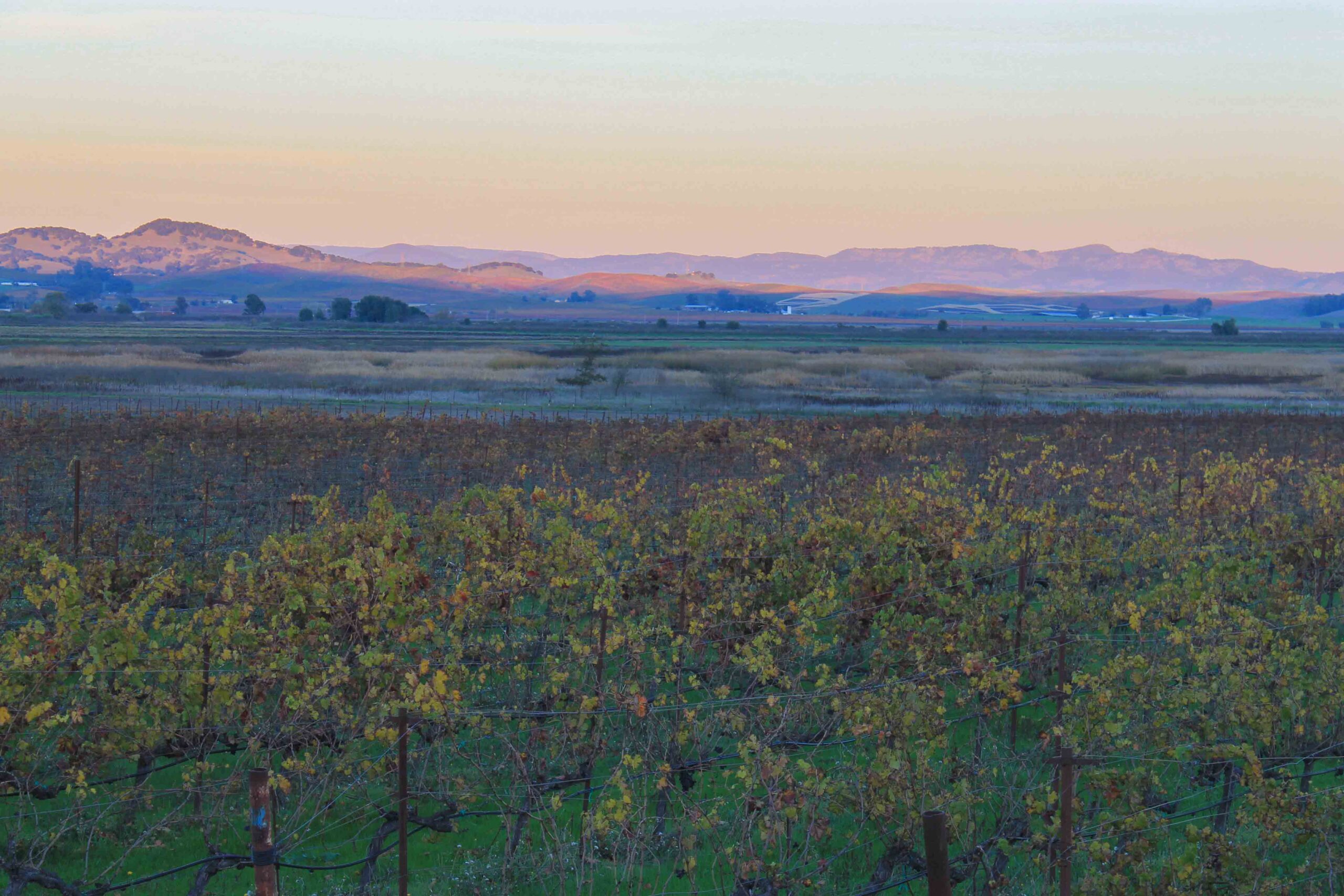 Sunset in Napa Valley