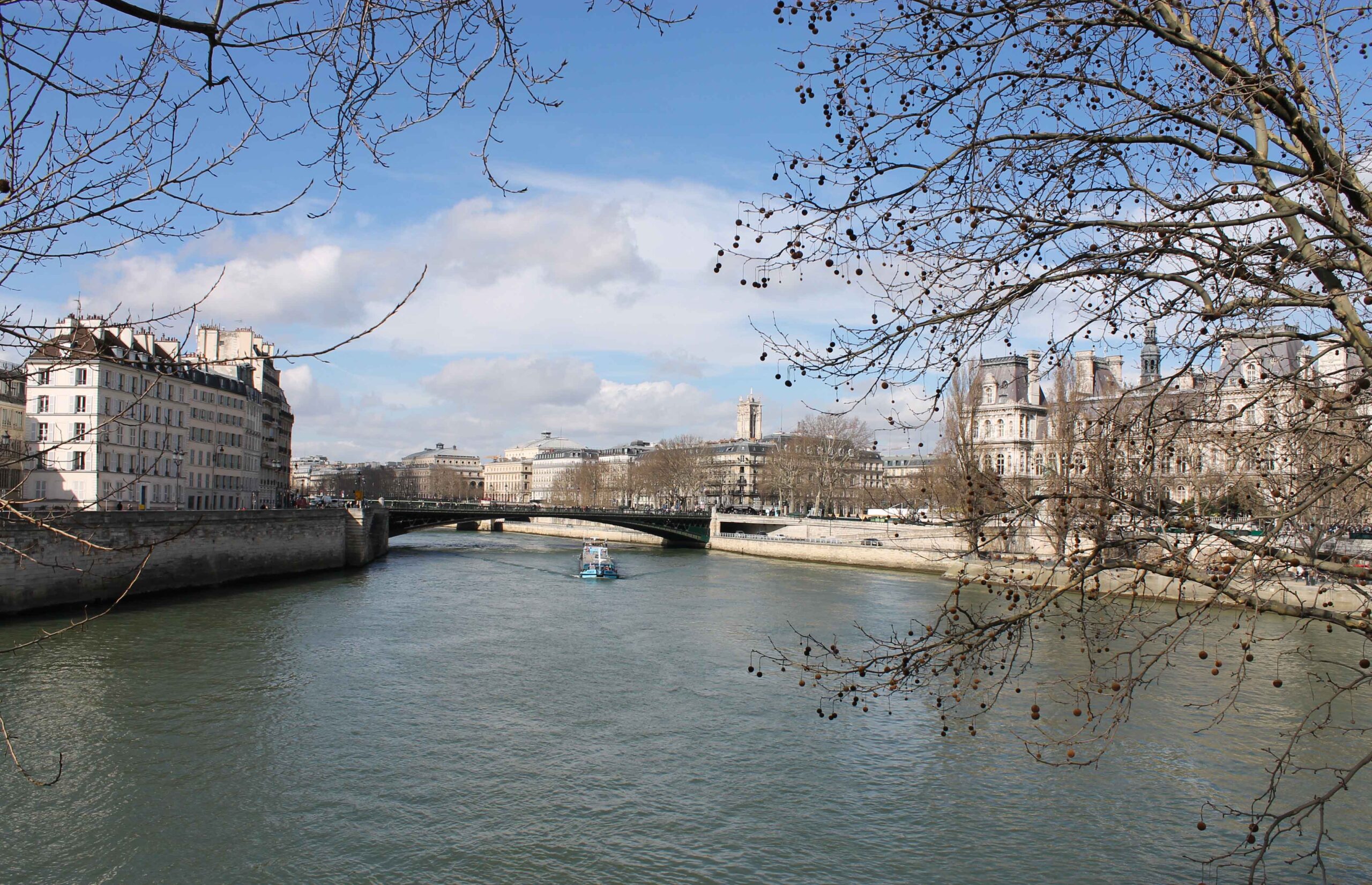 Views of the Seine framed by trees with flower buds