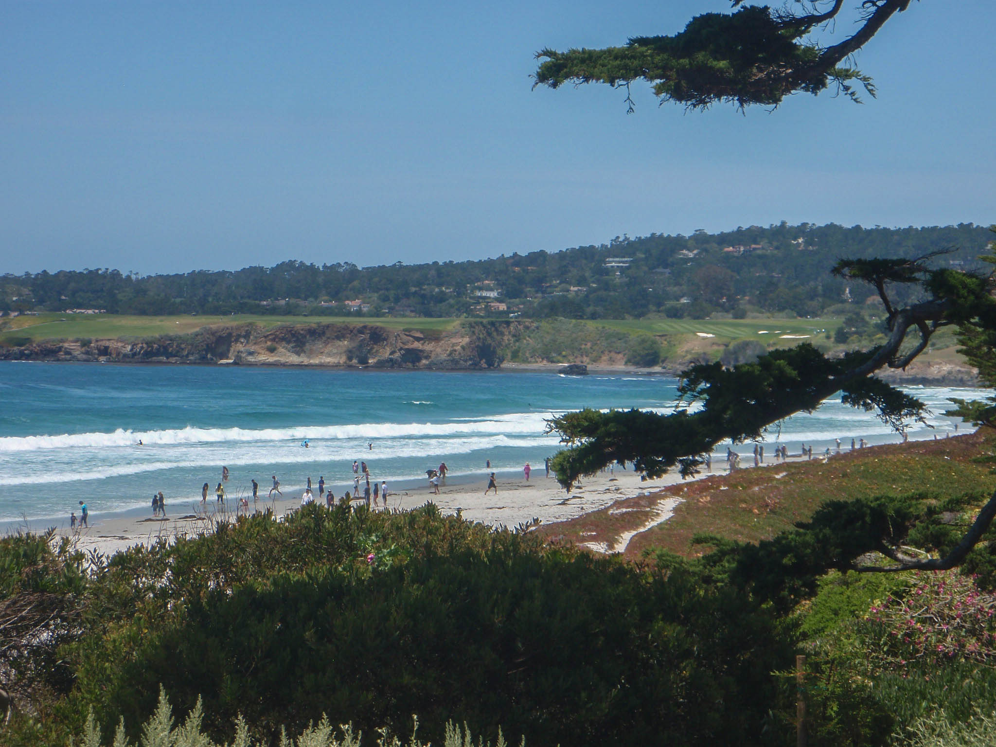 Carmel City Beach Park, my favorite beach in Northern California - and dog-friendly to boot