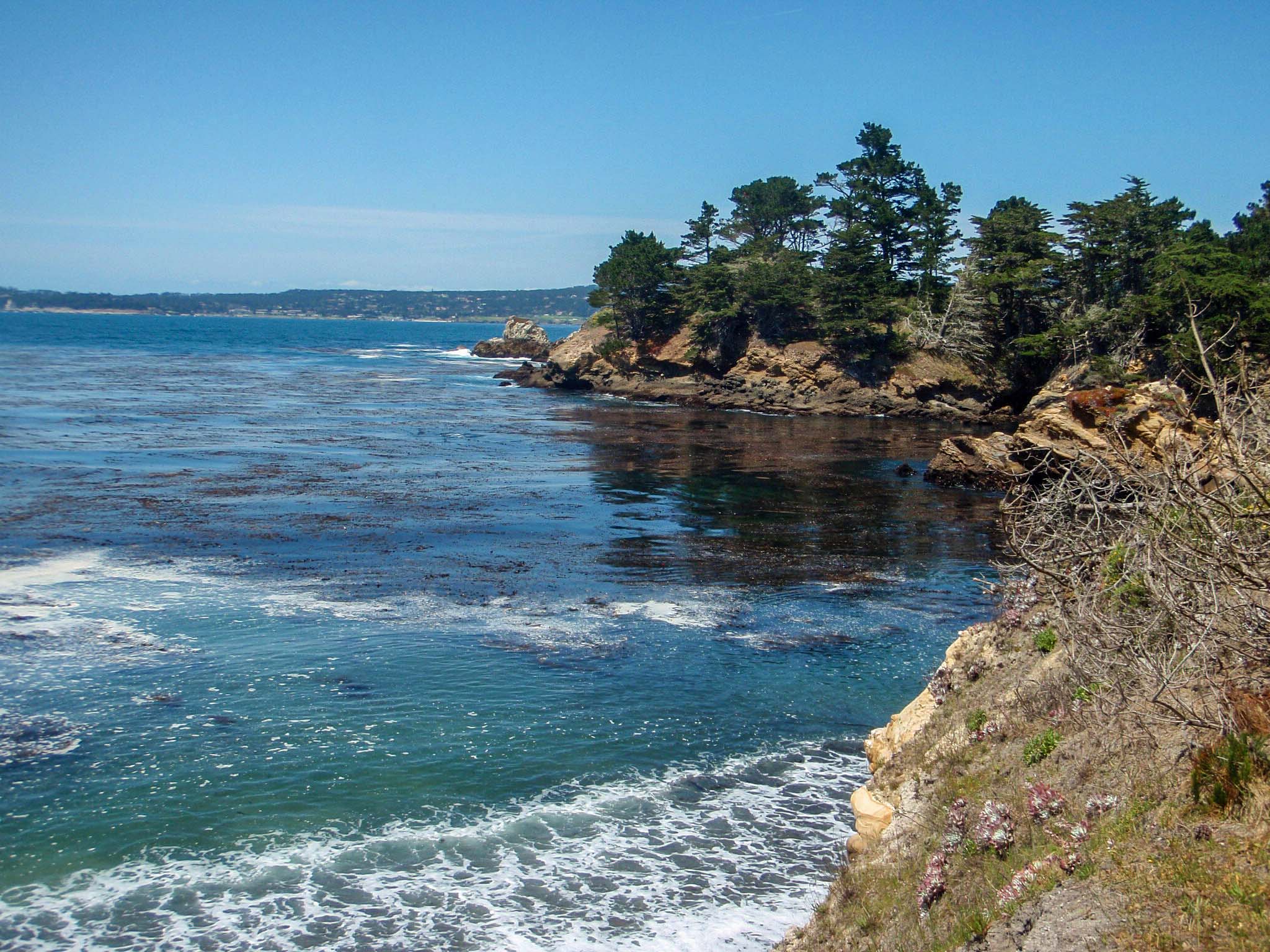 Coastline at Point Lobos State Natural Reserve