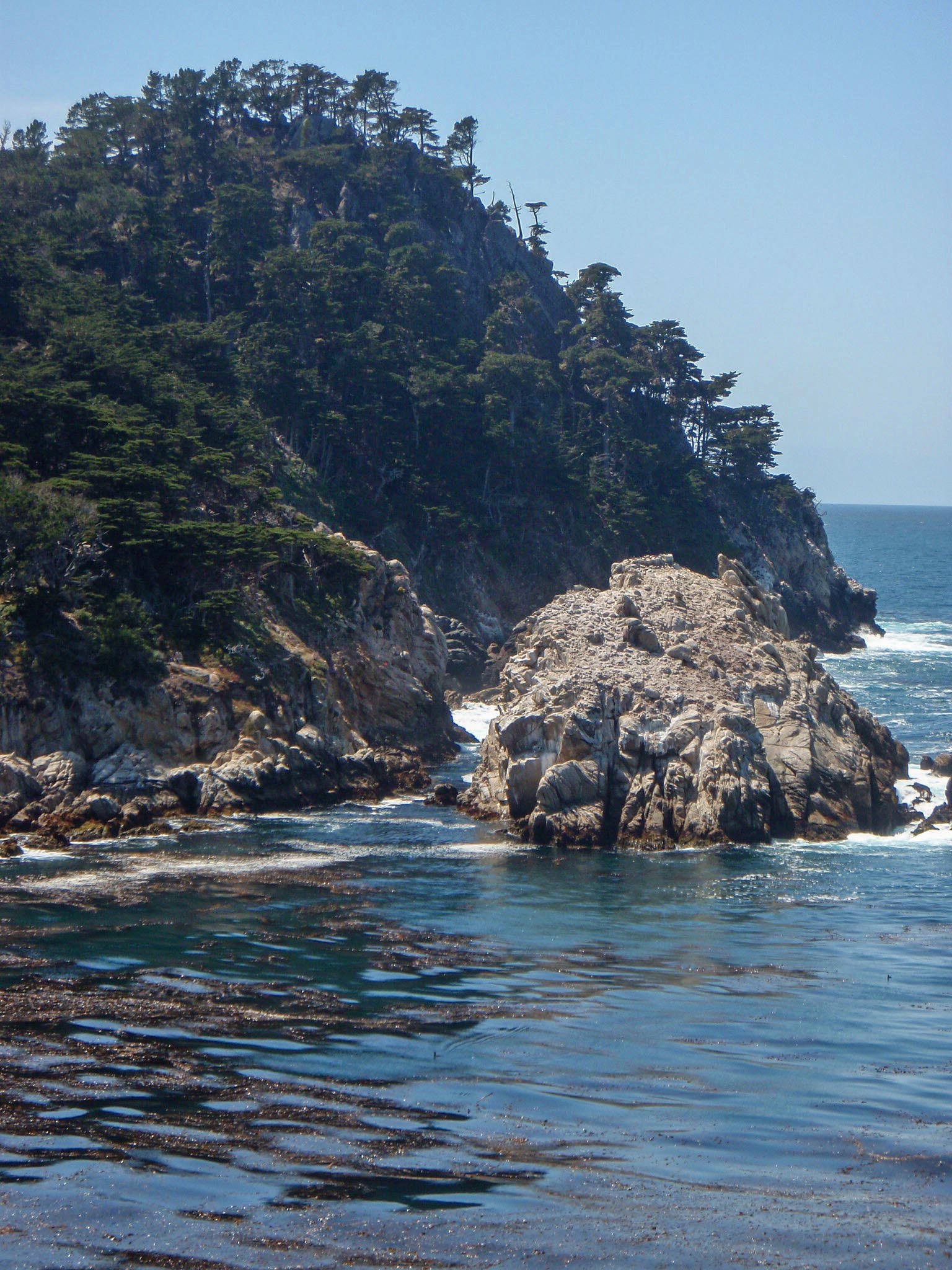 Point Lobos coastline