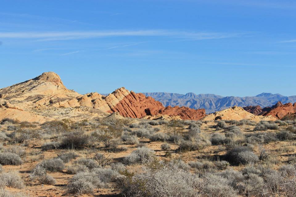 Colorful rock sand desert plants in Valley of Fire State Park