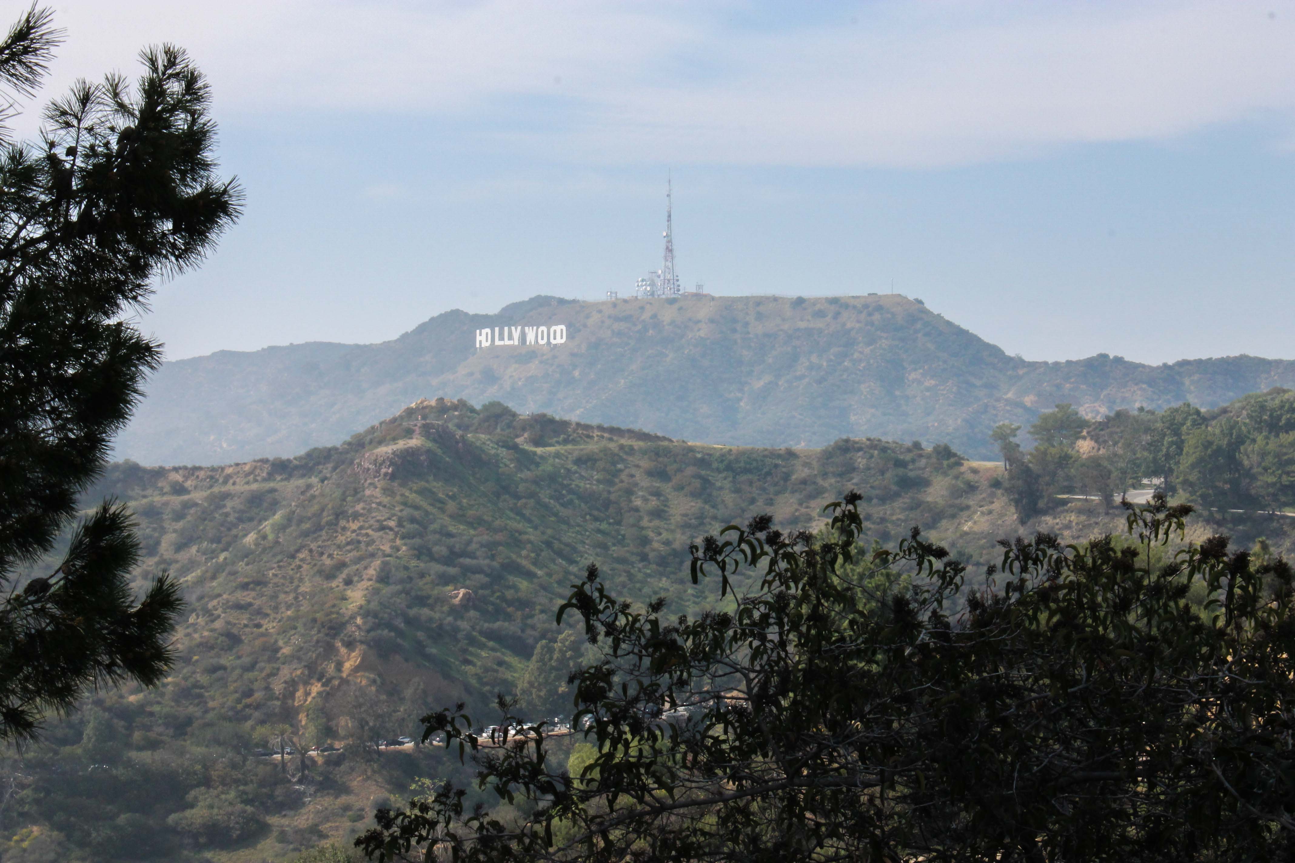 Hollywood Sign from Griffith Park