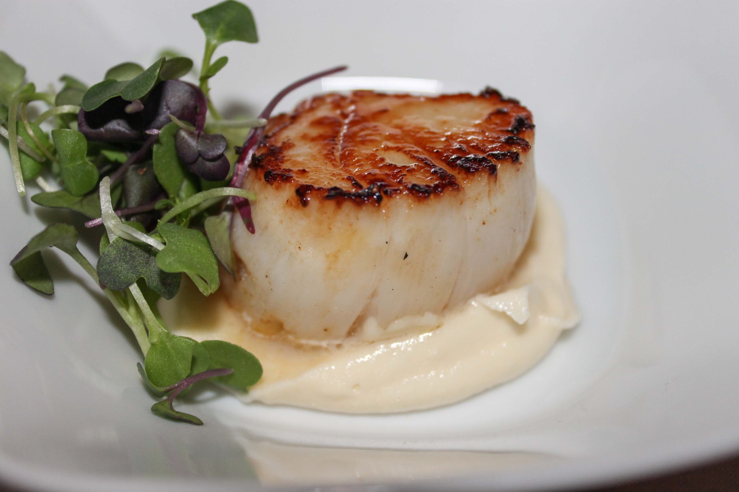 Sea scallops with truffle parmesan fondue at Mucca Osteria, one of the best restaurants in Portland, Oregon