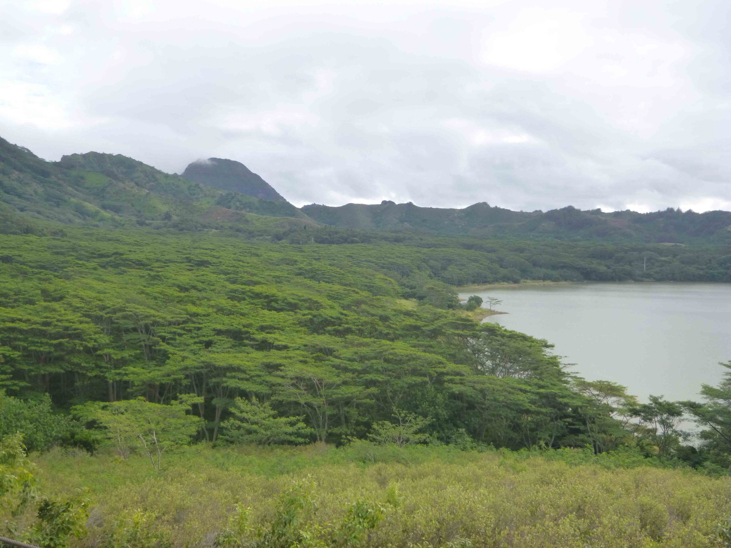Views from our zipline tour on Kauai