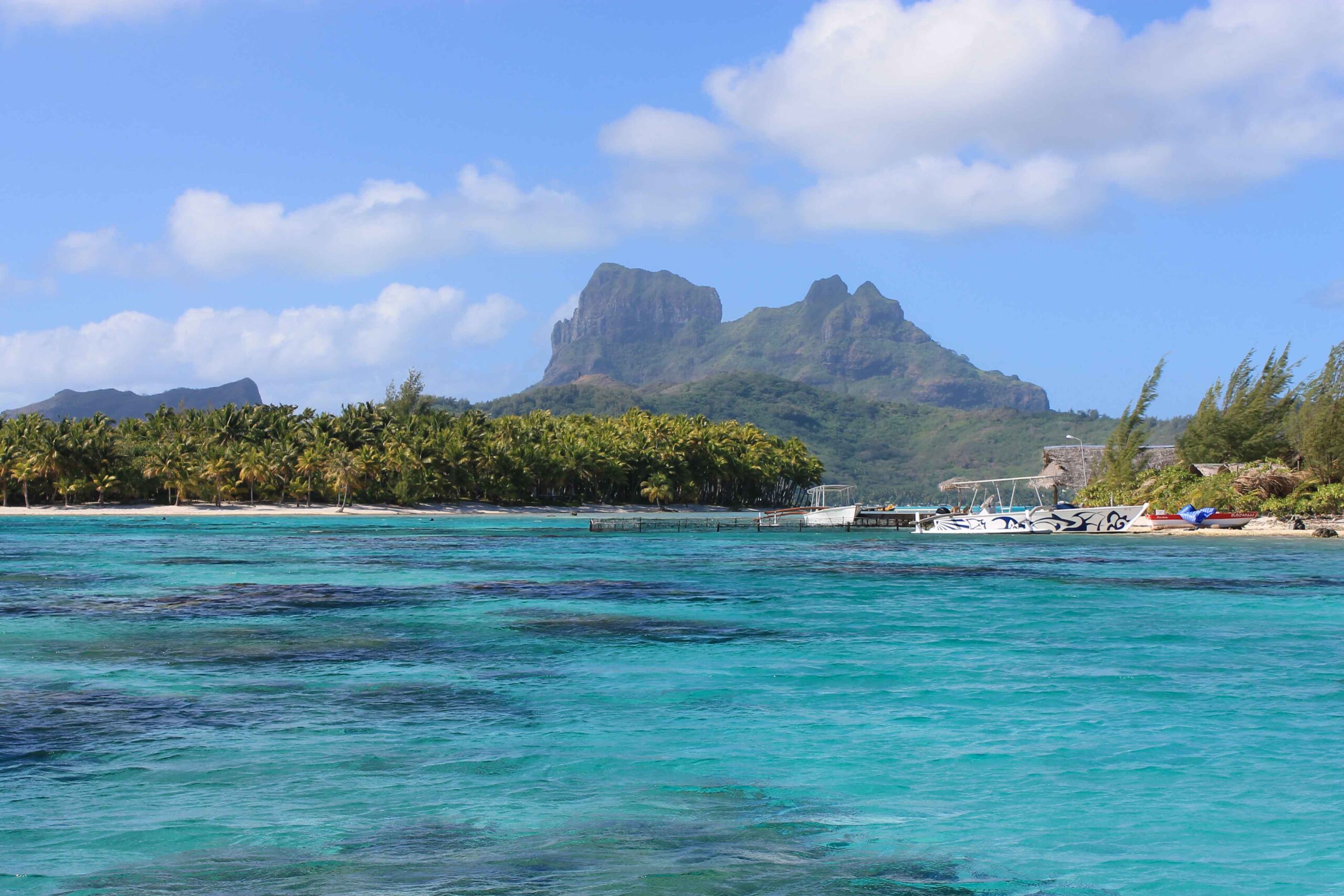 Views of Bora Bora from our excursion to snorkel with sharks and sting rays