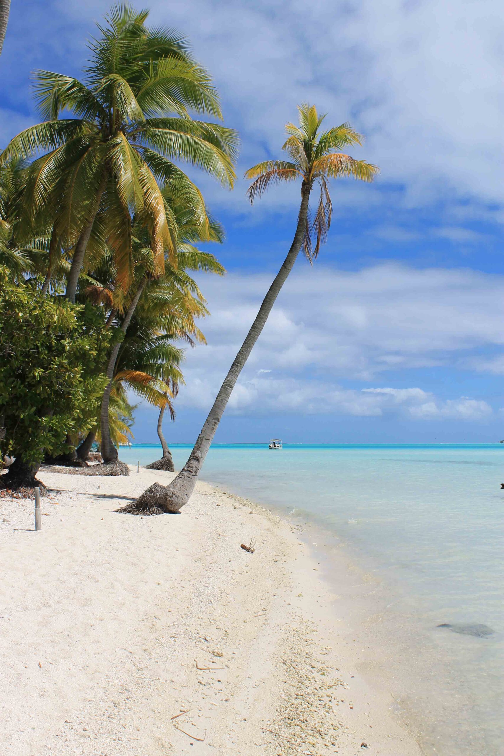 Exploring the motu we visited after our shark and stingray snorkeling excursion in Bora Bora