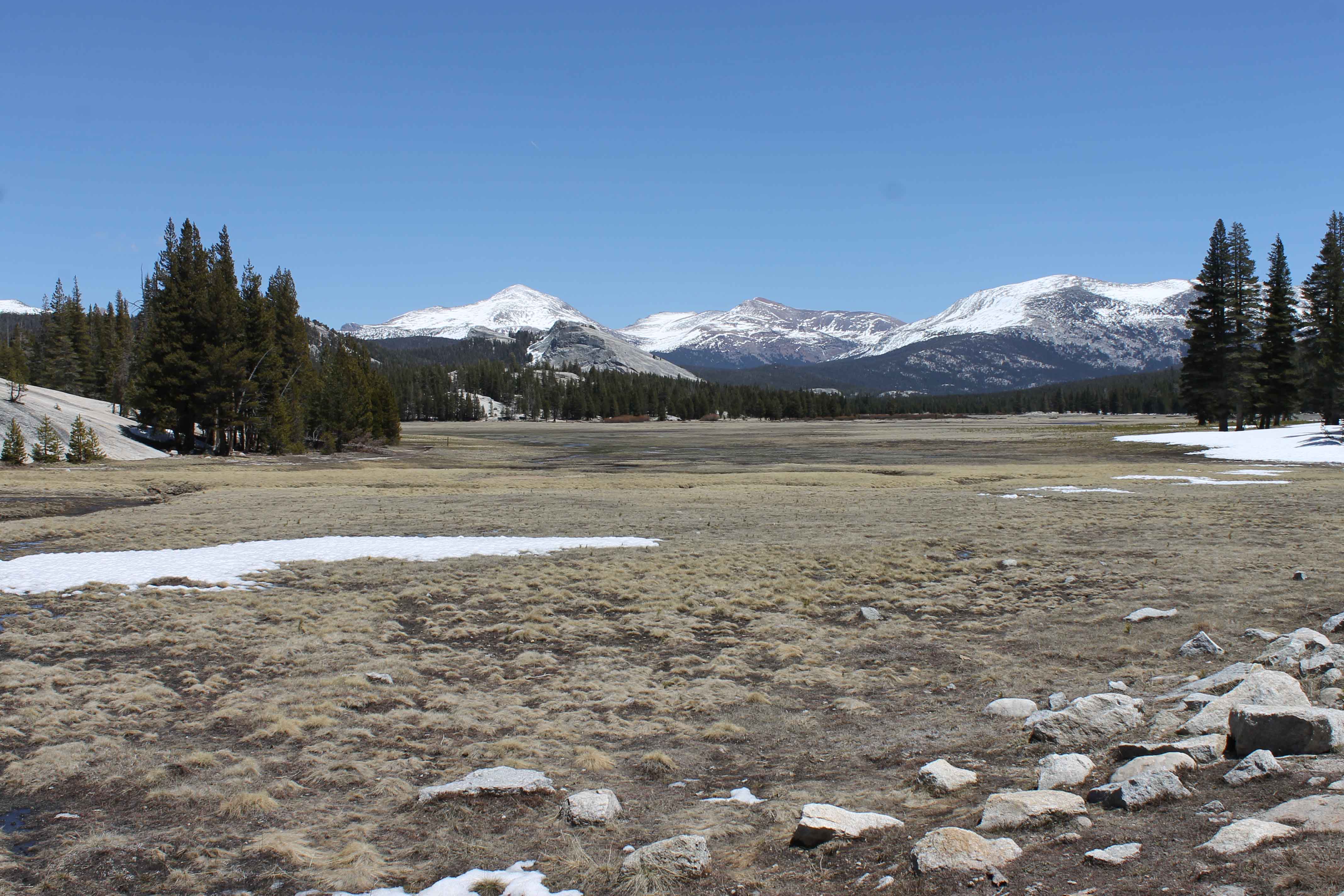 Tuolumne Meadows, Yosemite National Park