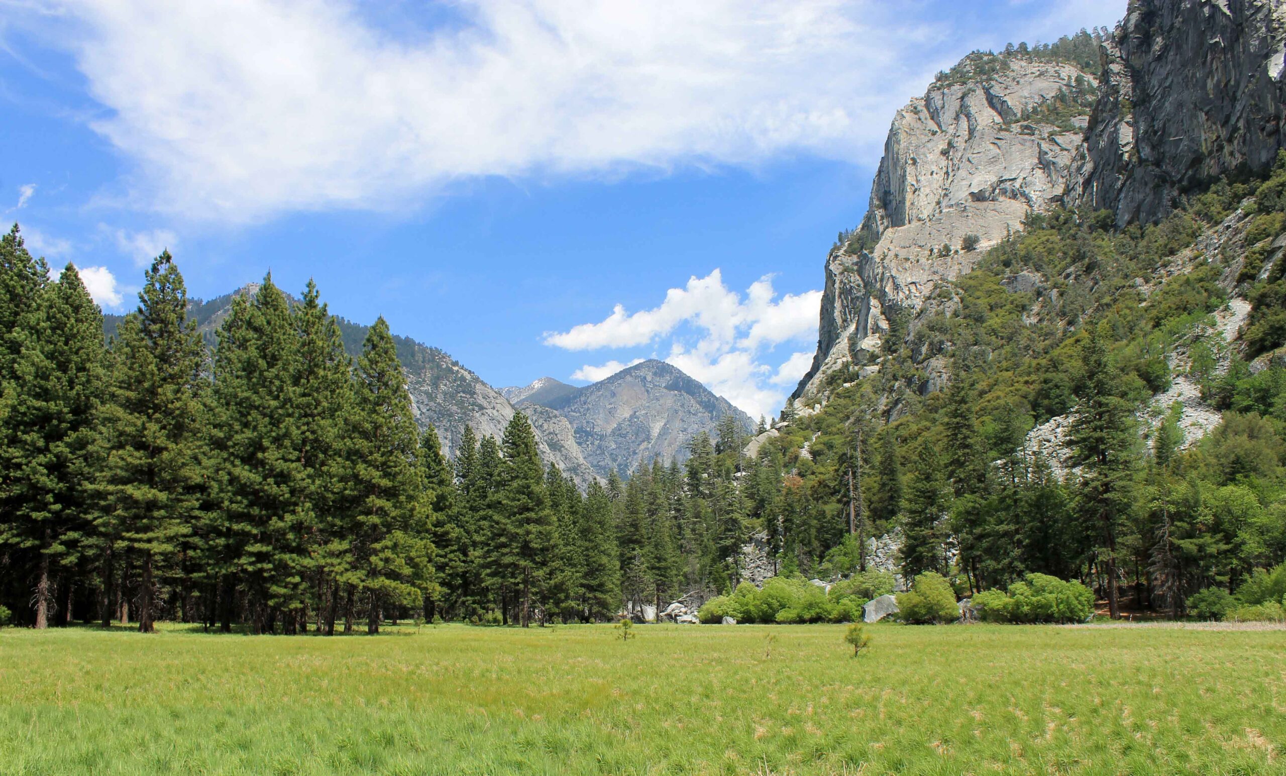 Zumwalt Meadow in Kings Canyon National Park