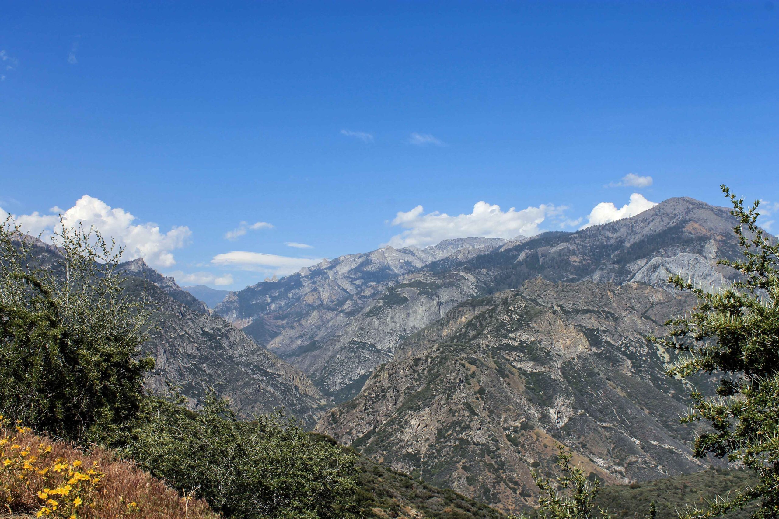 Kings Canyon National Park, one of my top weekend road trips from the Bay Area