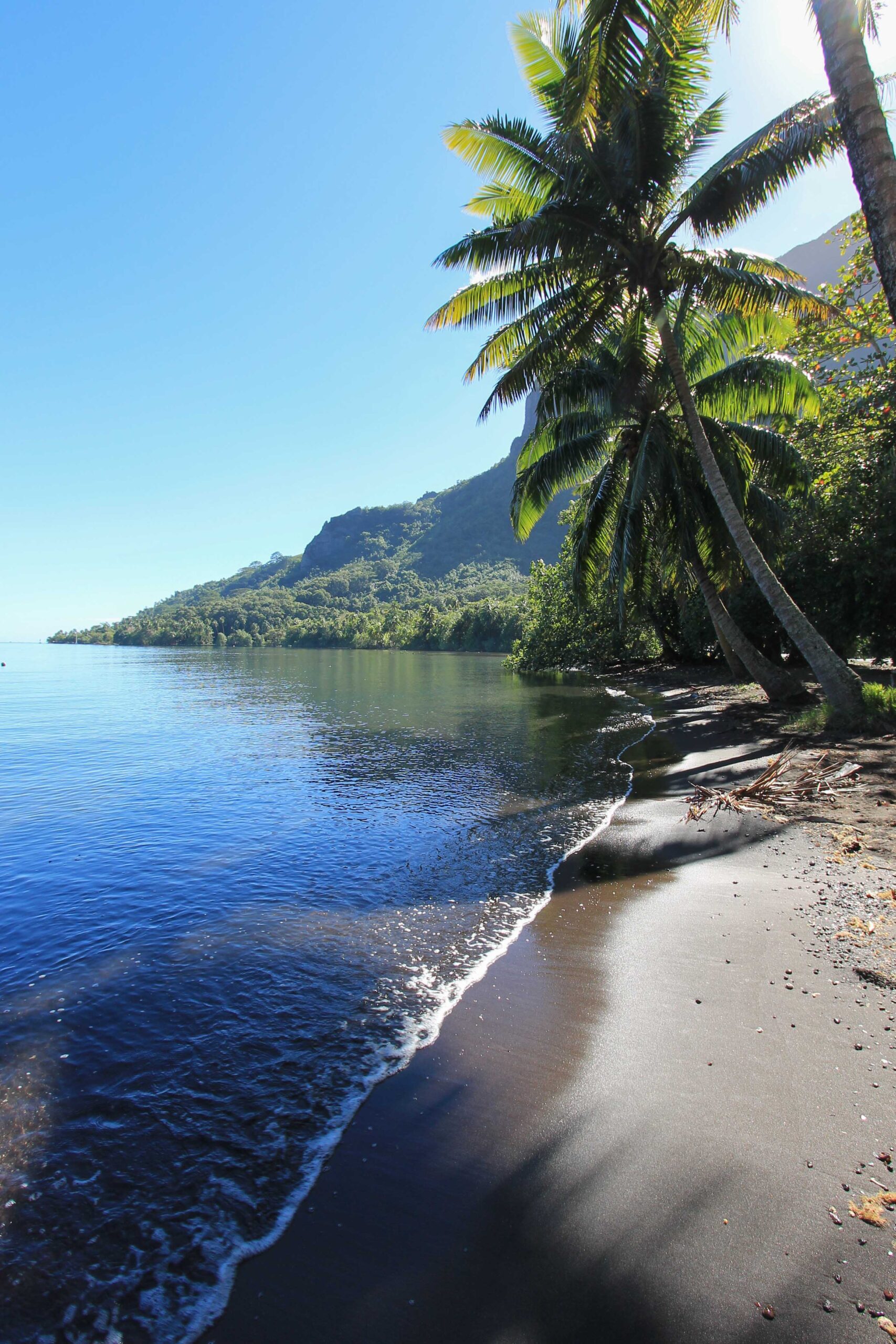 Black sand beach in Mo'orea that we saw on our jeep tour of the island