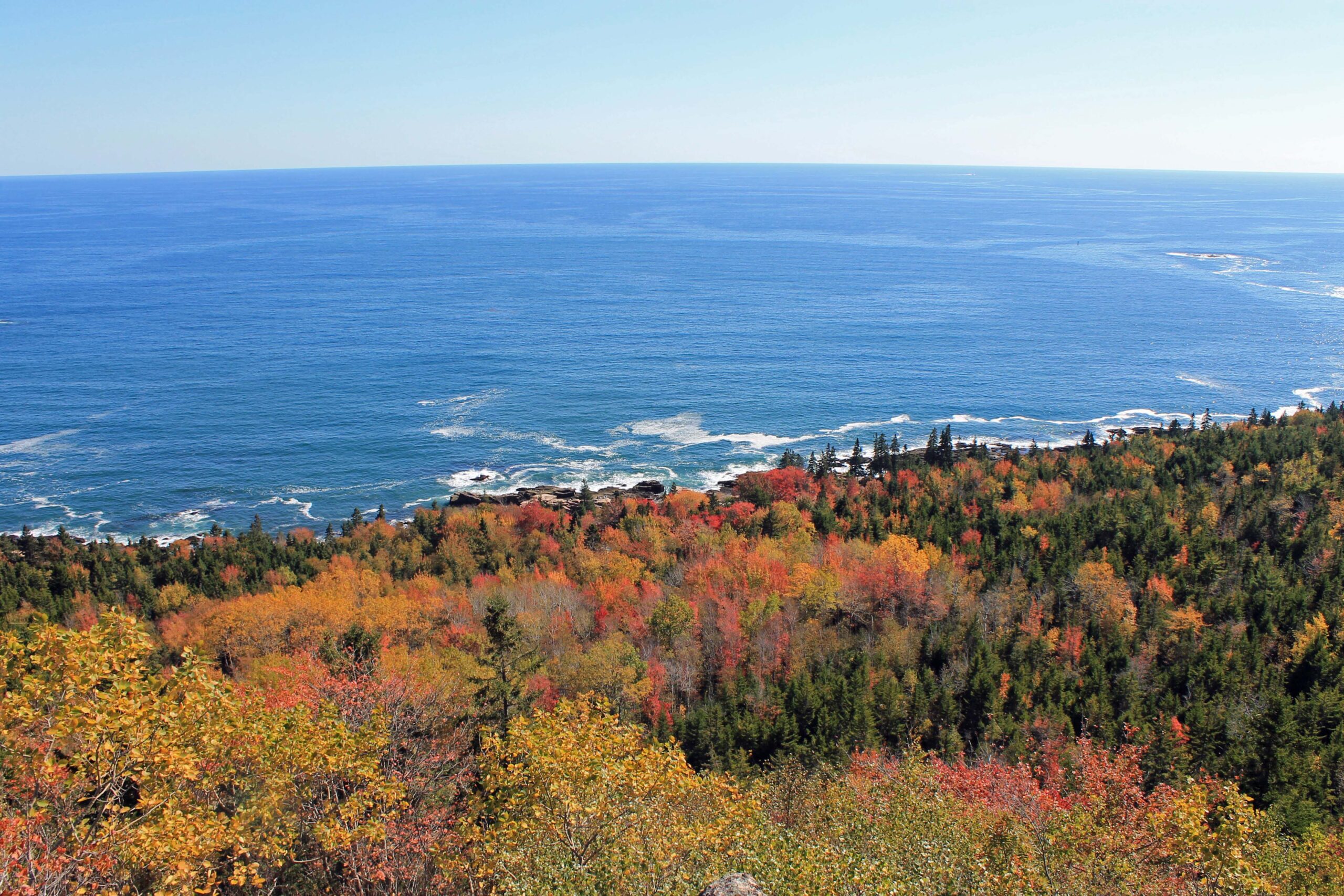 Fall foliage on the Gorham Mountain Trail