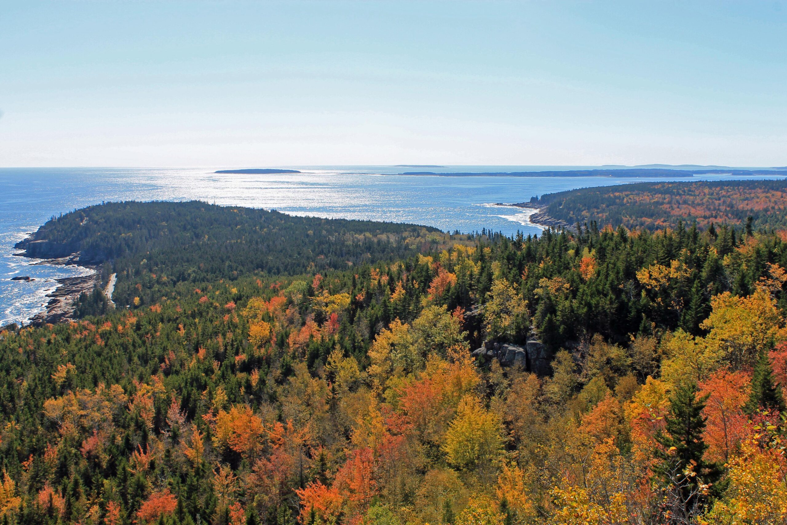 Fall foliage from the Gorham Mountain Trail