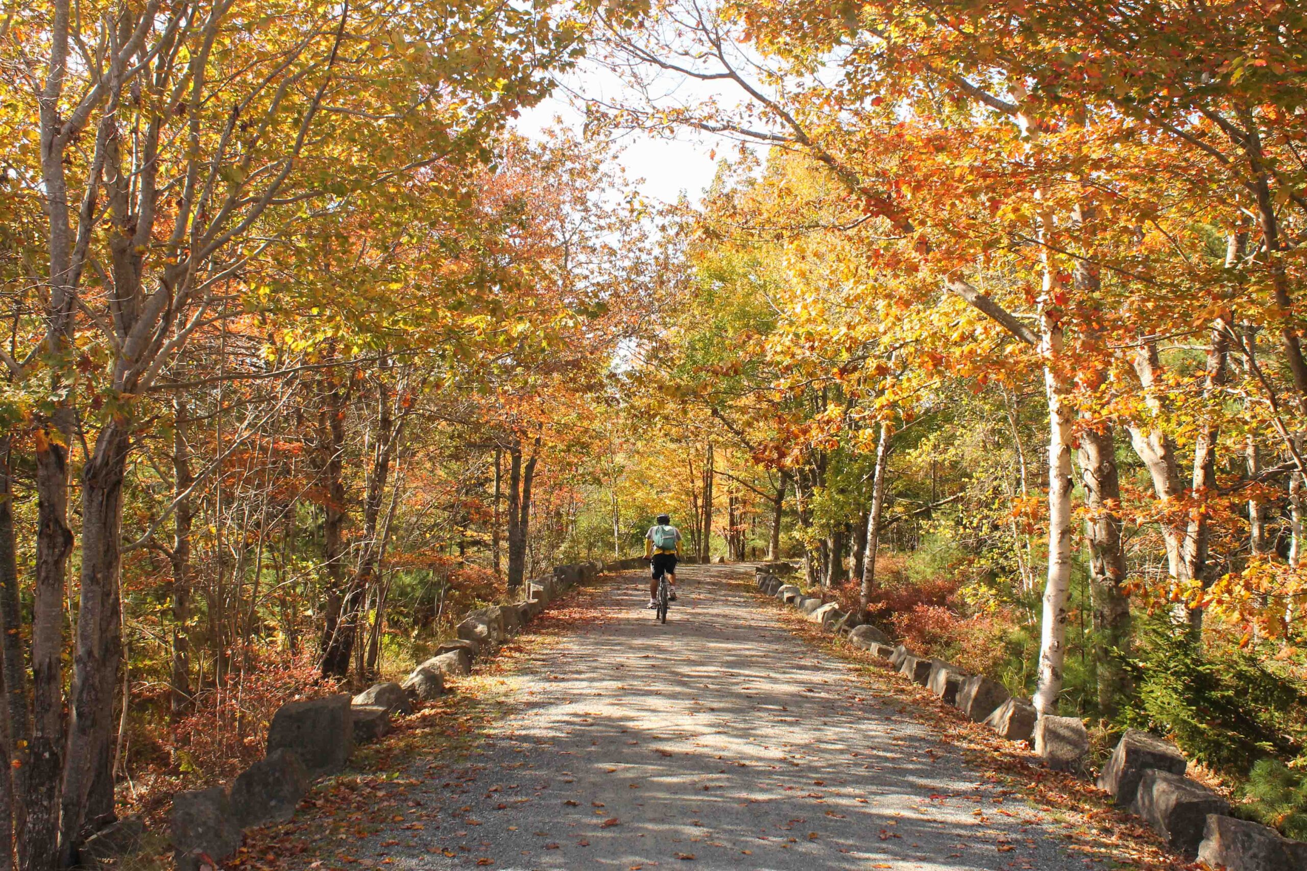 Biking Acadia National Park's carriage roads in the fall