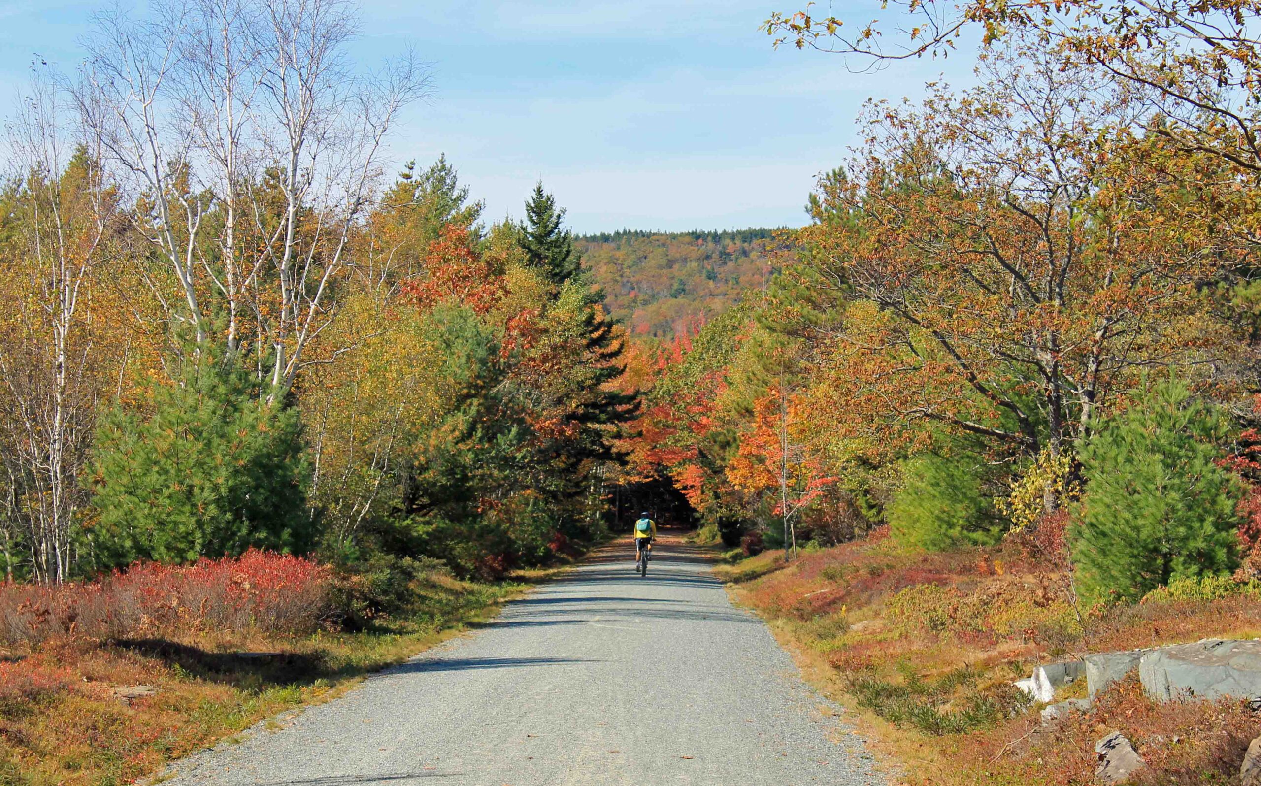Fall foliage on Acadia's National Park carriage roads