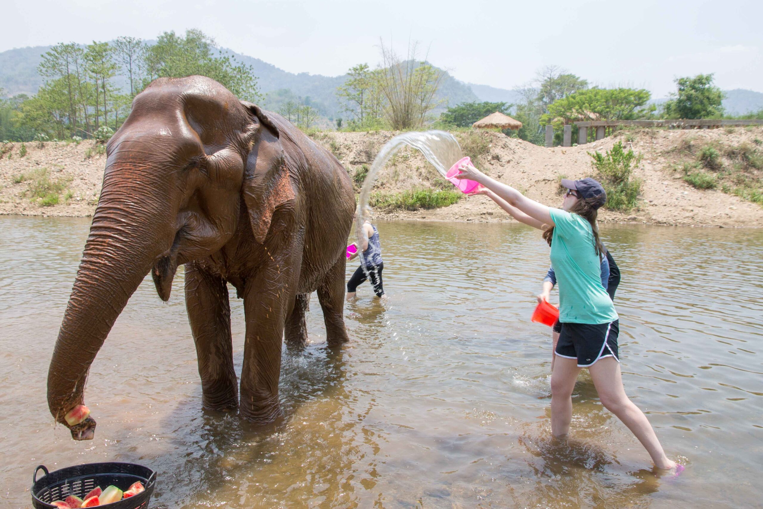 Bathing Champagne at Elephant Nature Park
