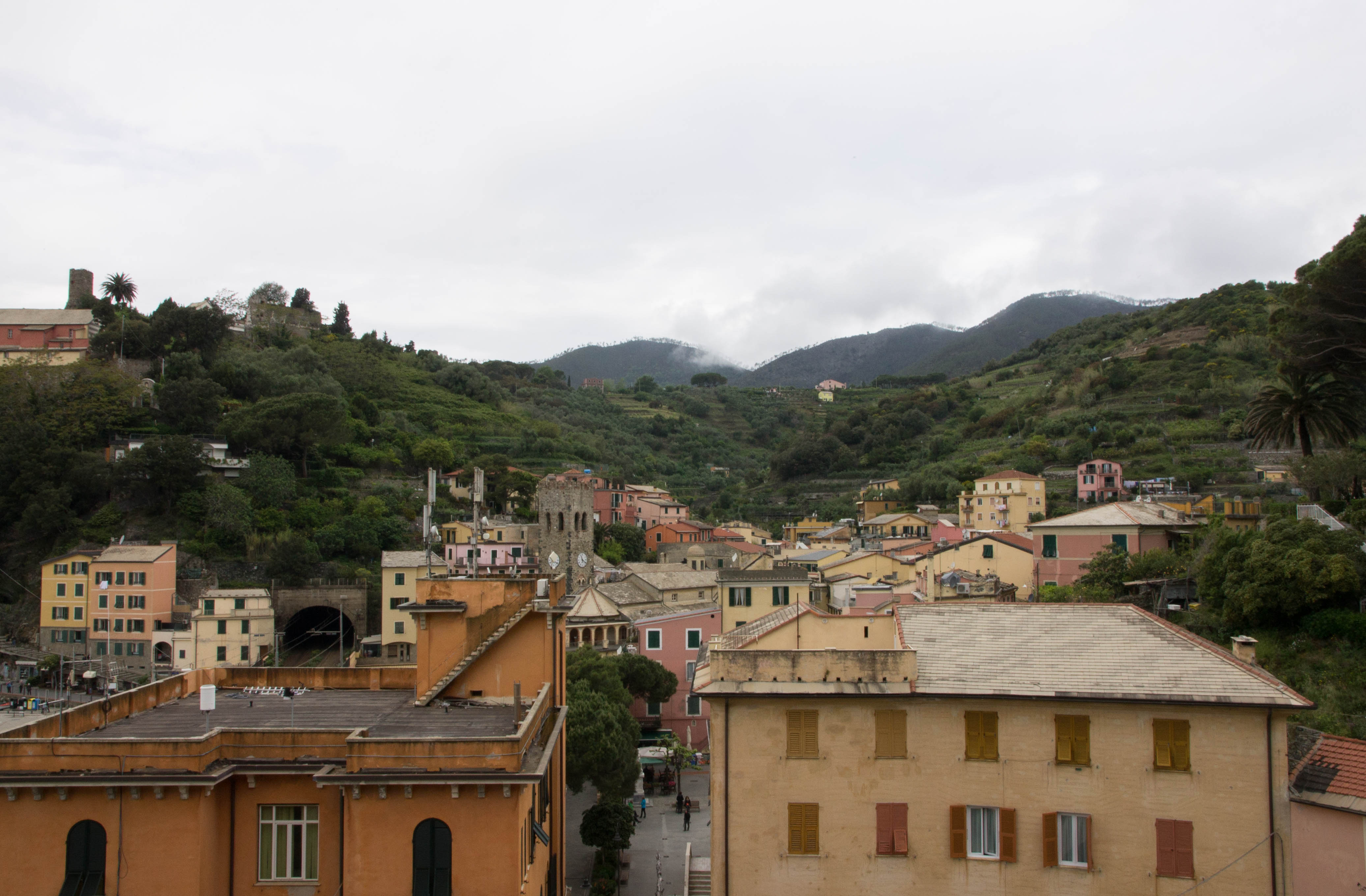IMG_1818.jpg