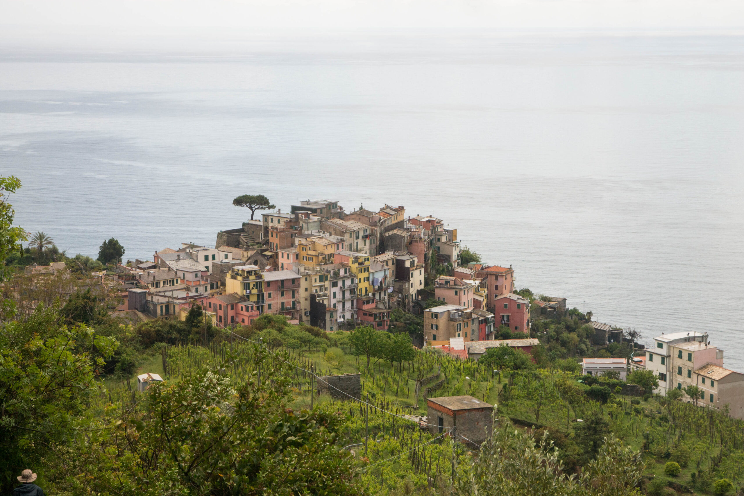 Views of Corniglia