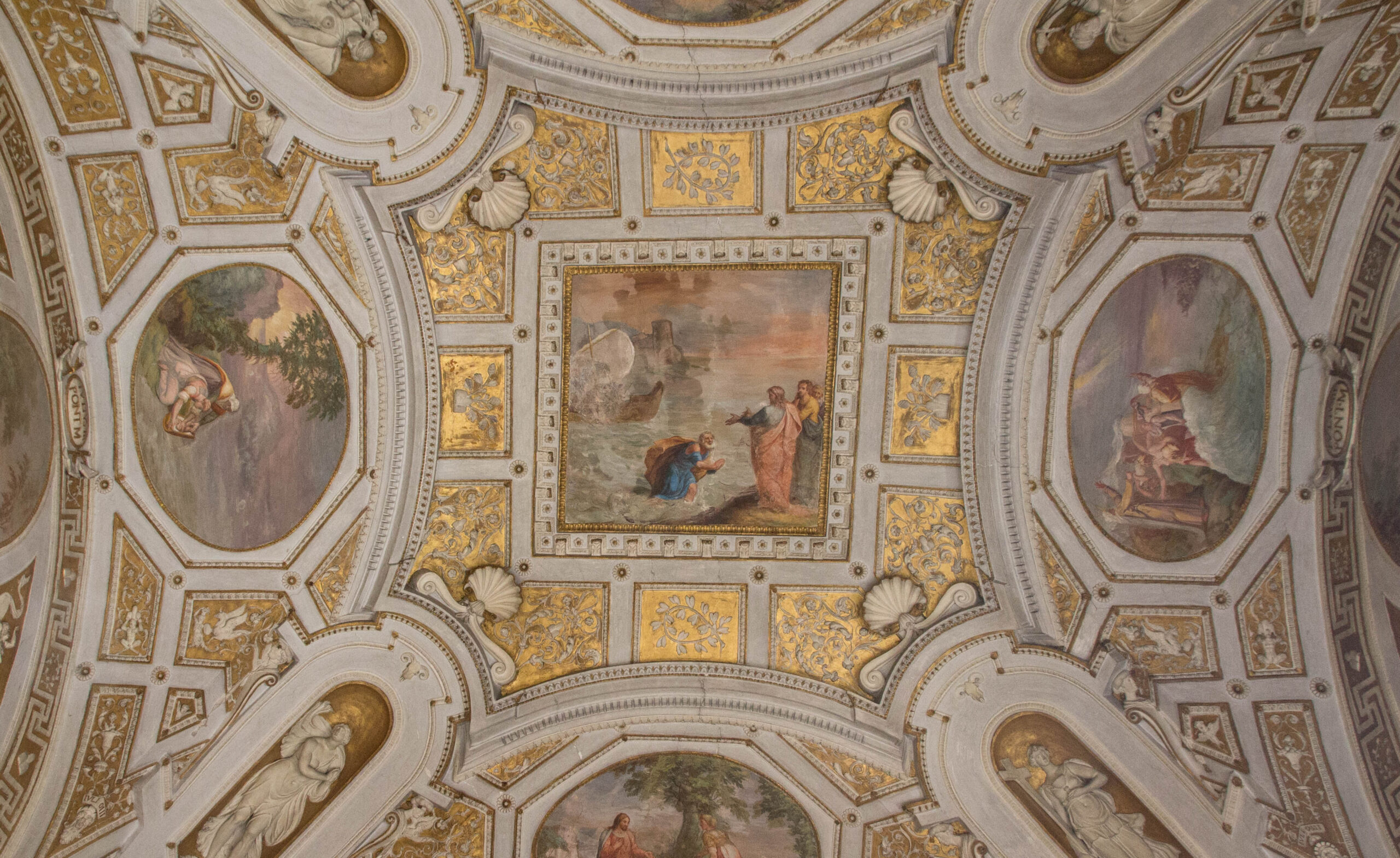 IMG_2649