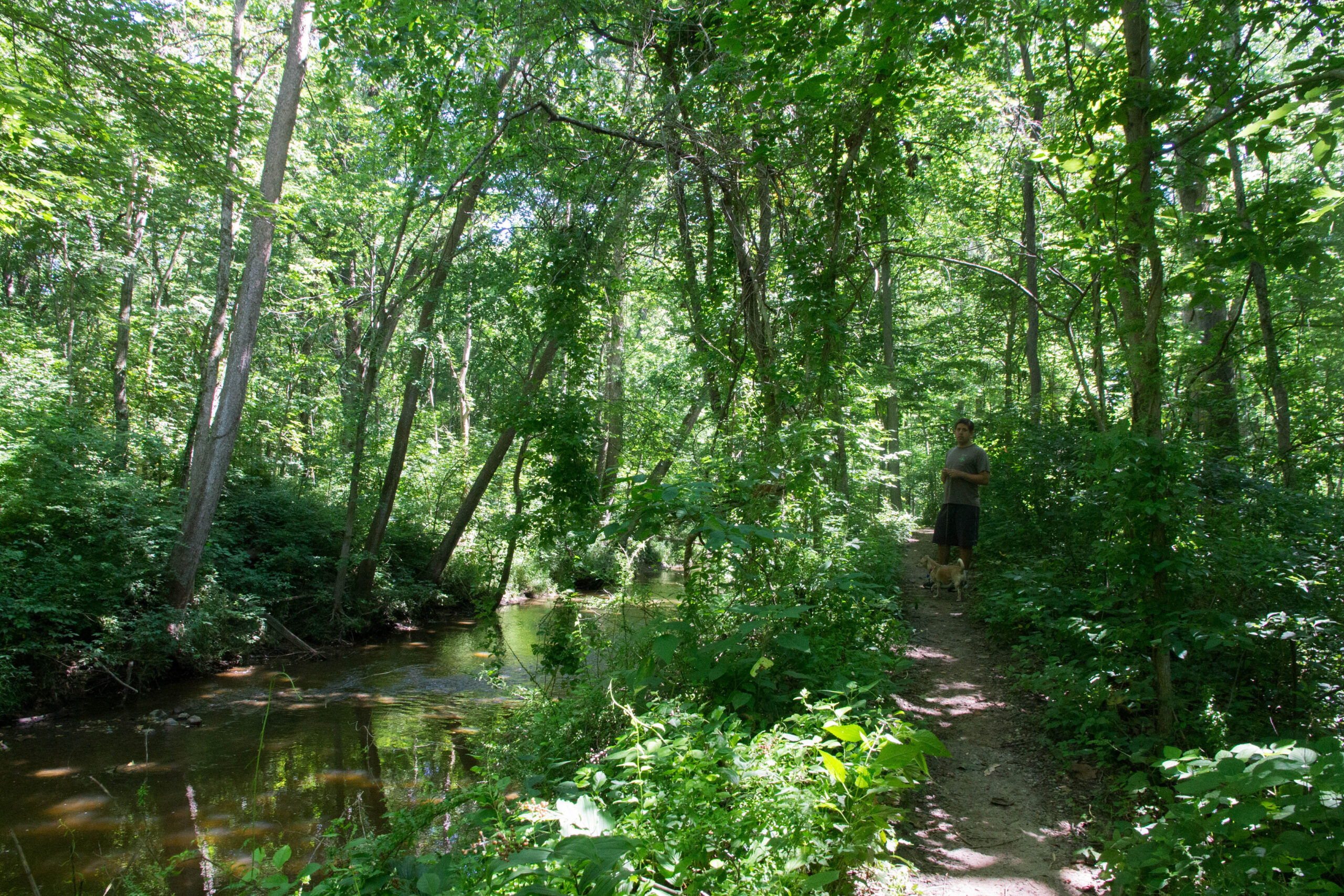 Bicentennial Woods nature preserve outside of Fort Wayne, Indiana