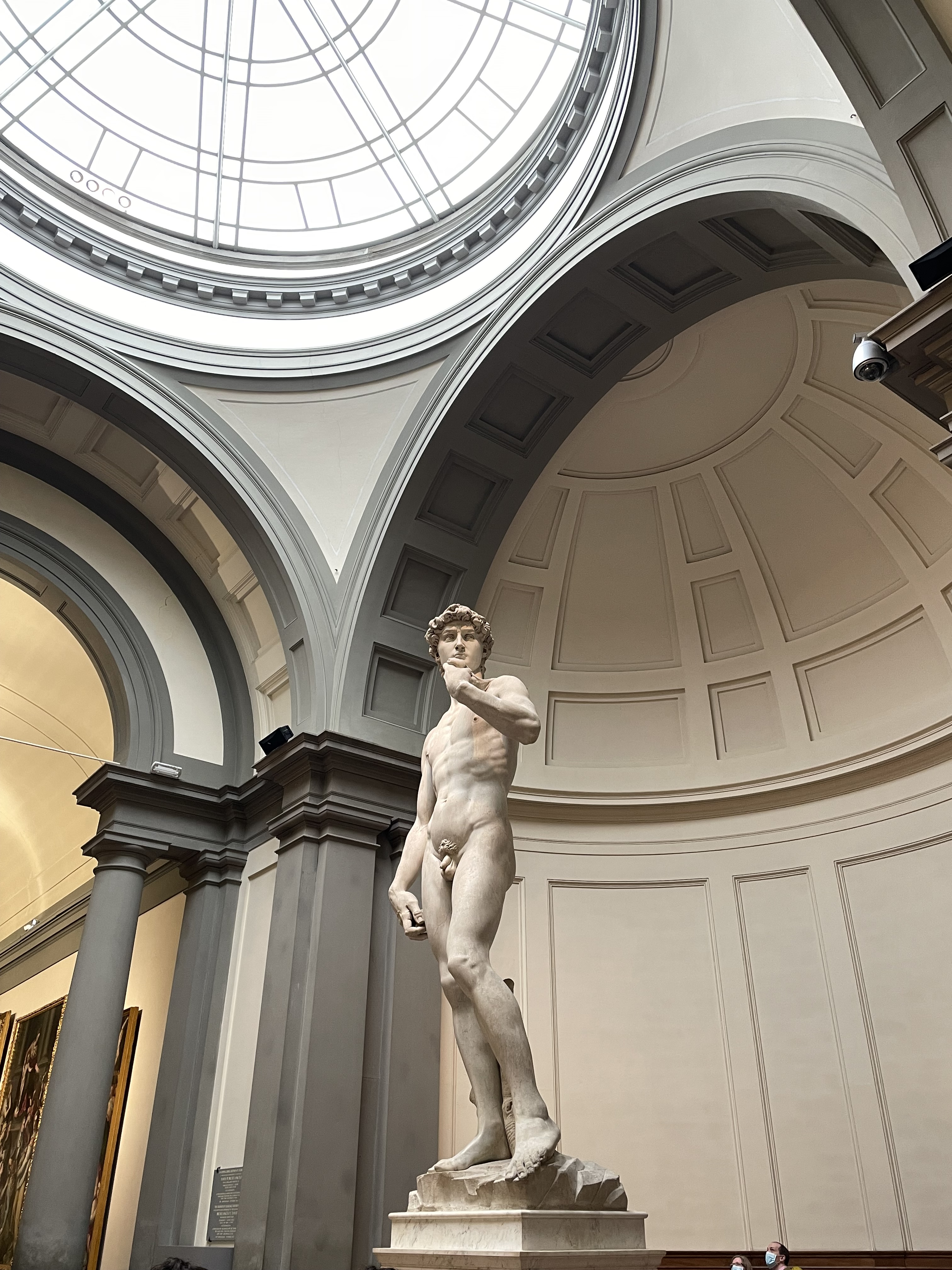 The David