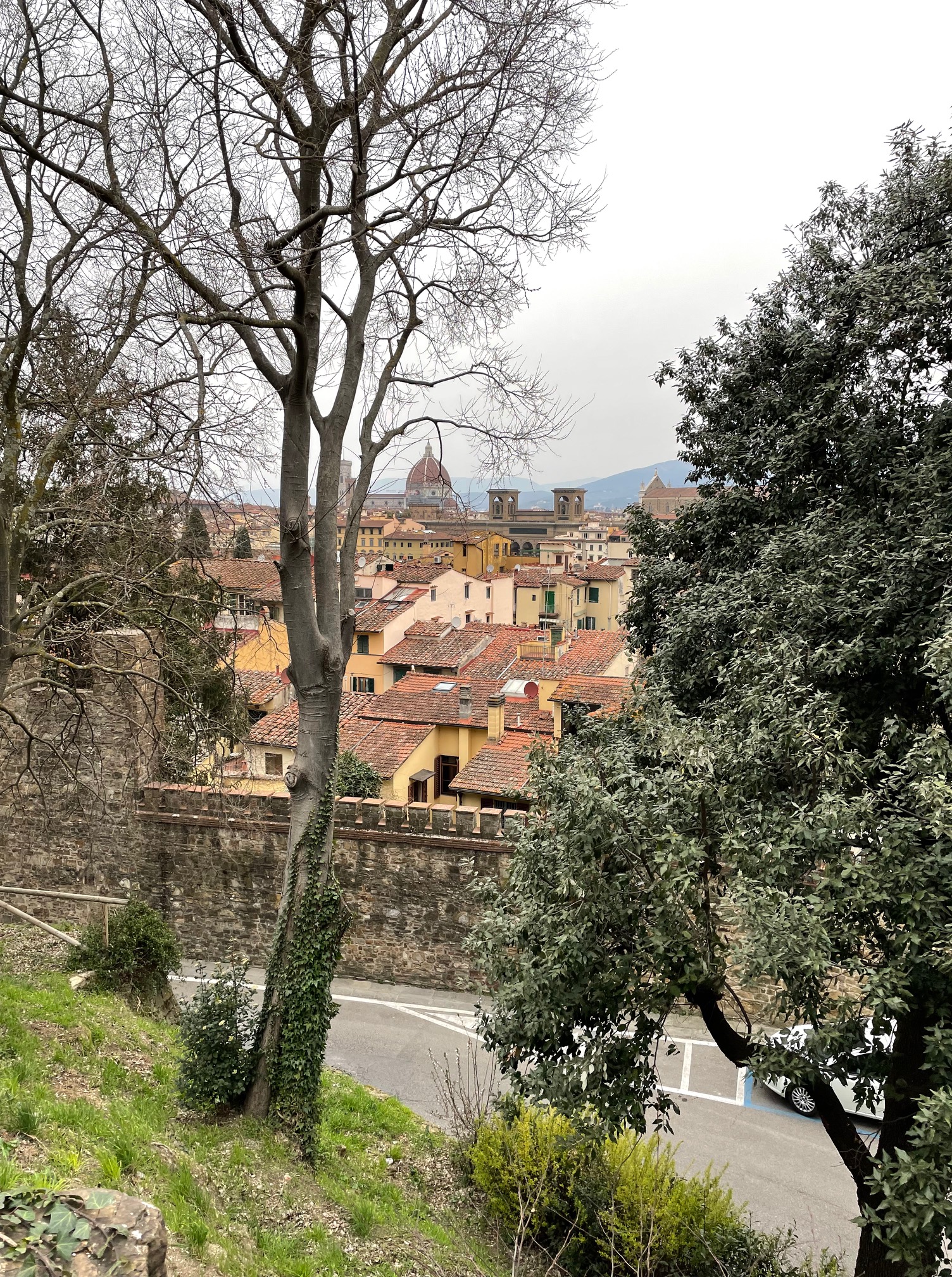 Views of the Florence from Piazza Michaelangelo