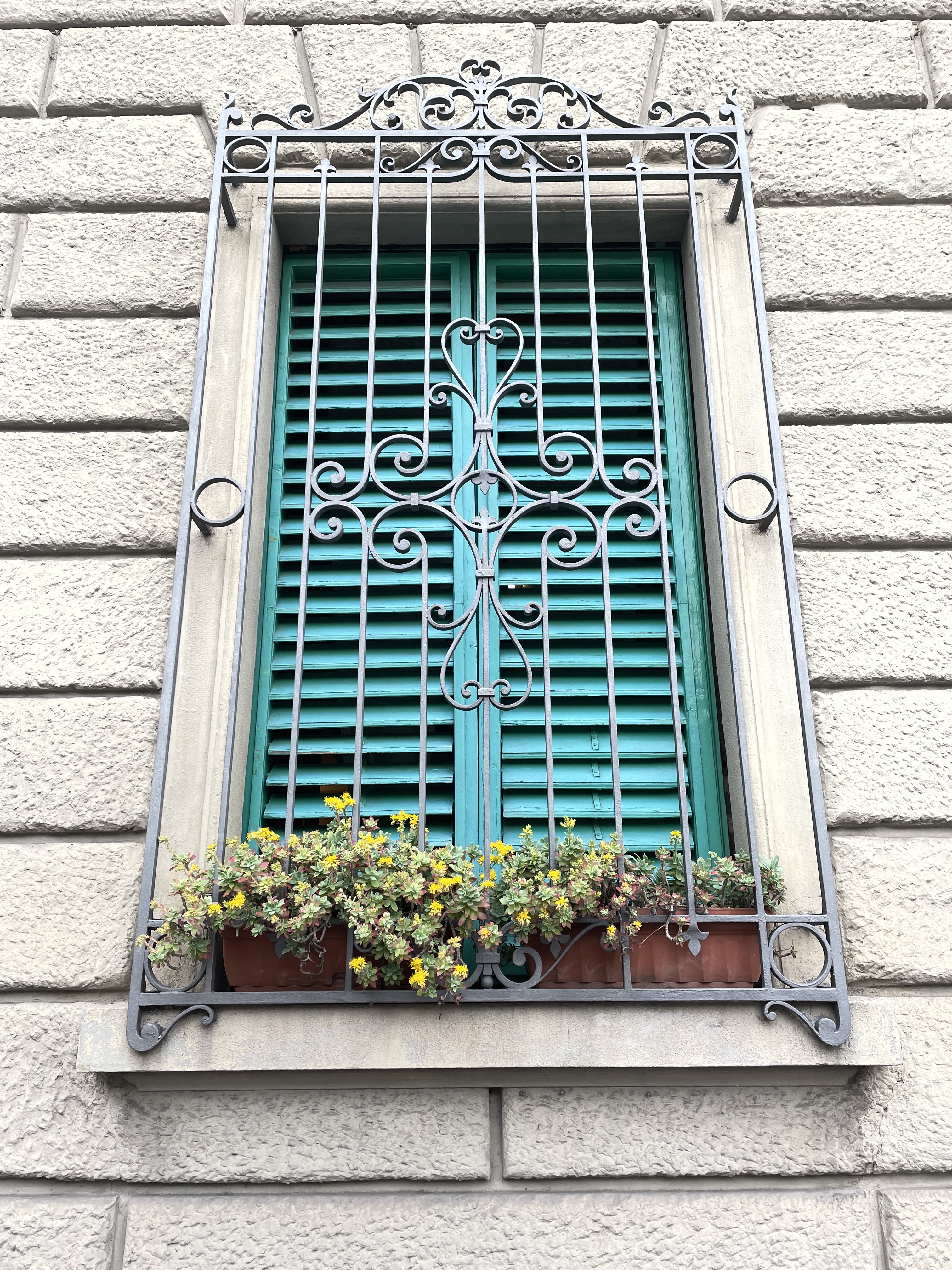 Window box in Florence