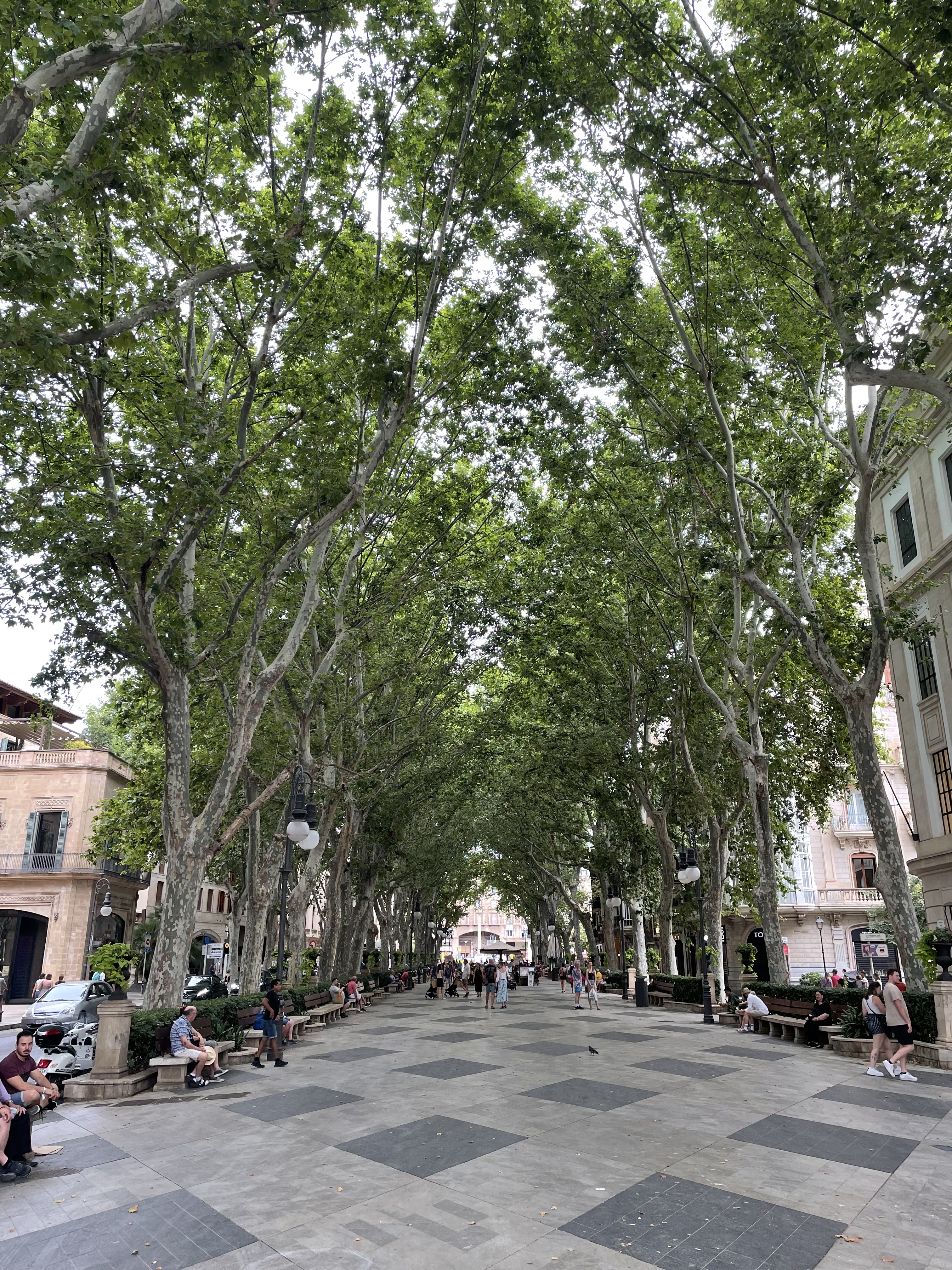 Pedestrian street in Palma de Mallorca