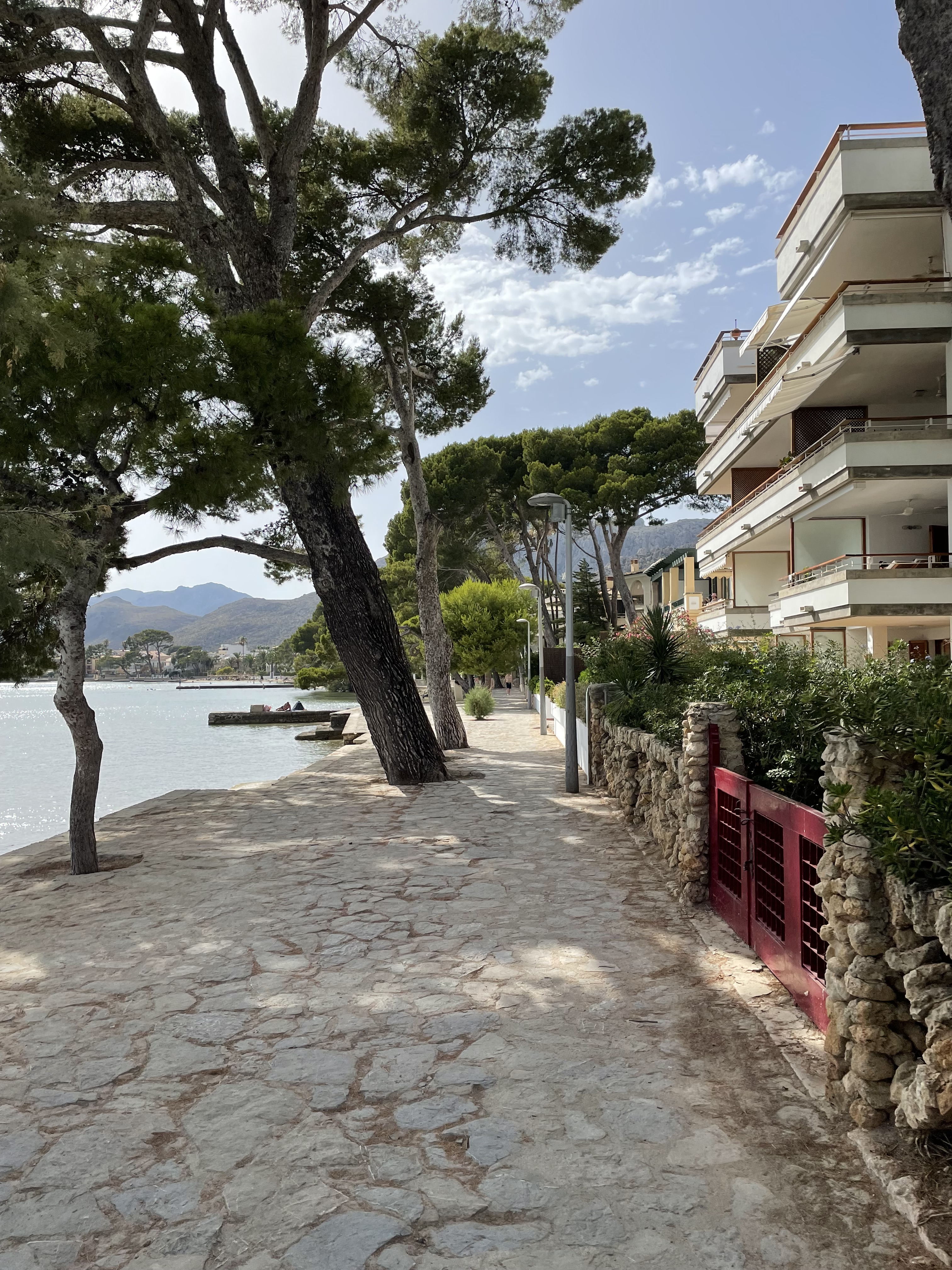 The pine walk in Puerto Pollensa Mallorca