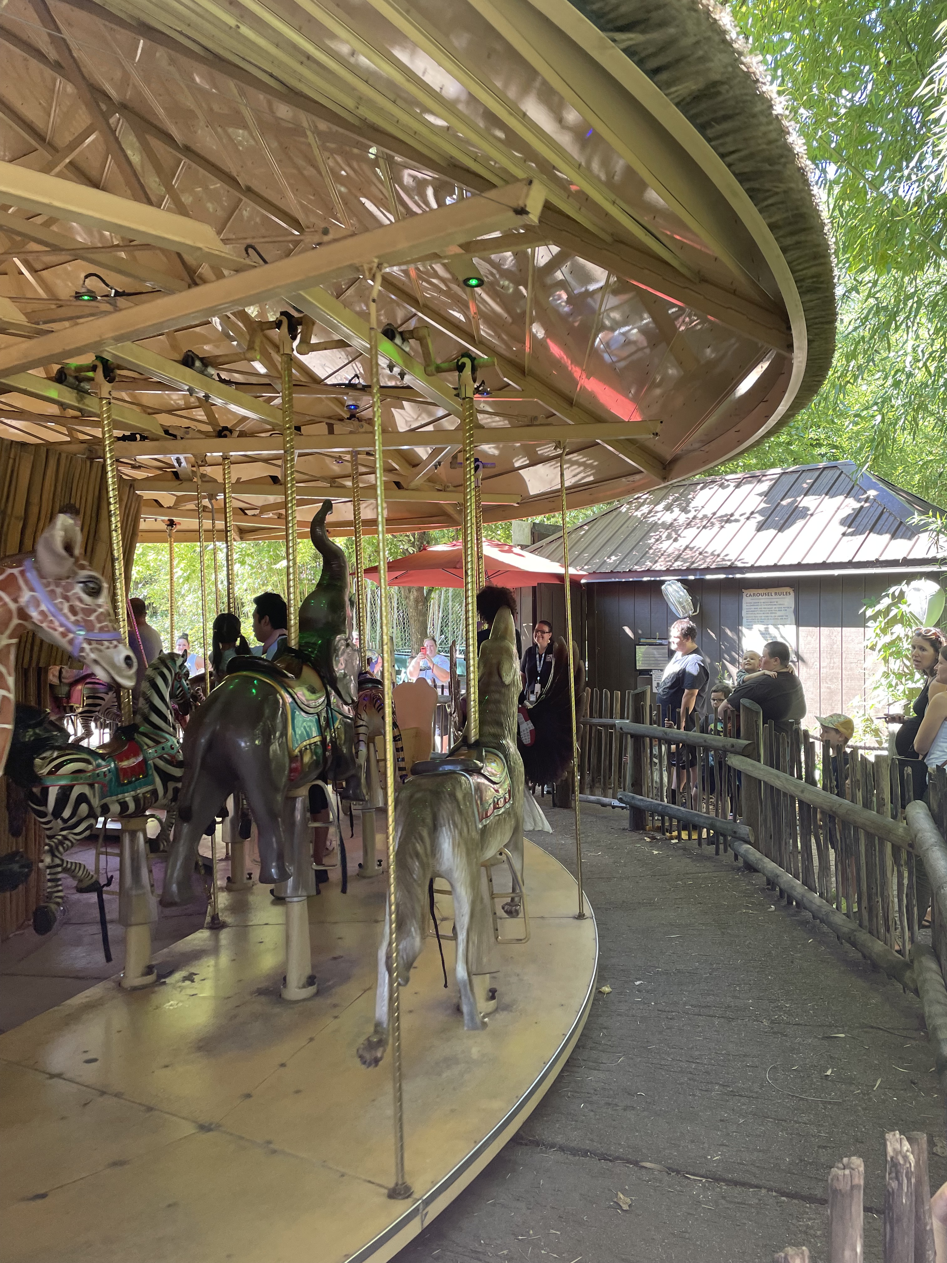 Carousel at the Cincinnati Zoo
