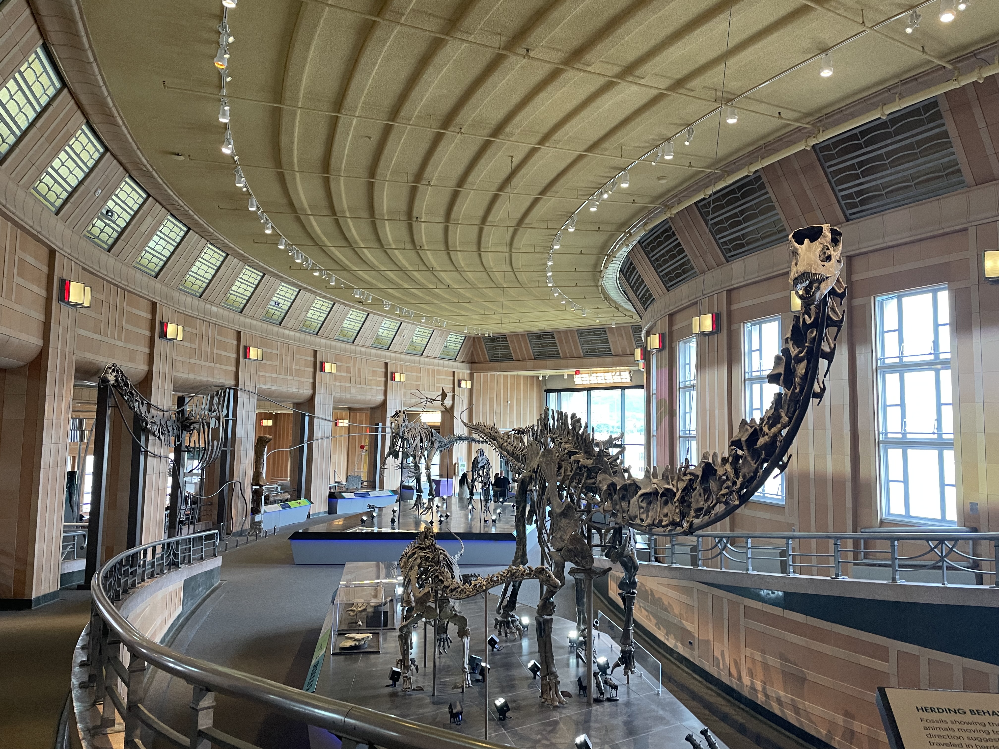 Dinosaur at the Cincinnati Museum of Natural History and Science