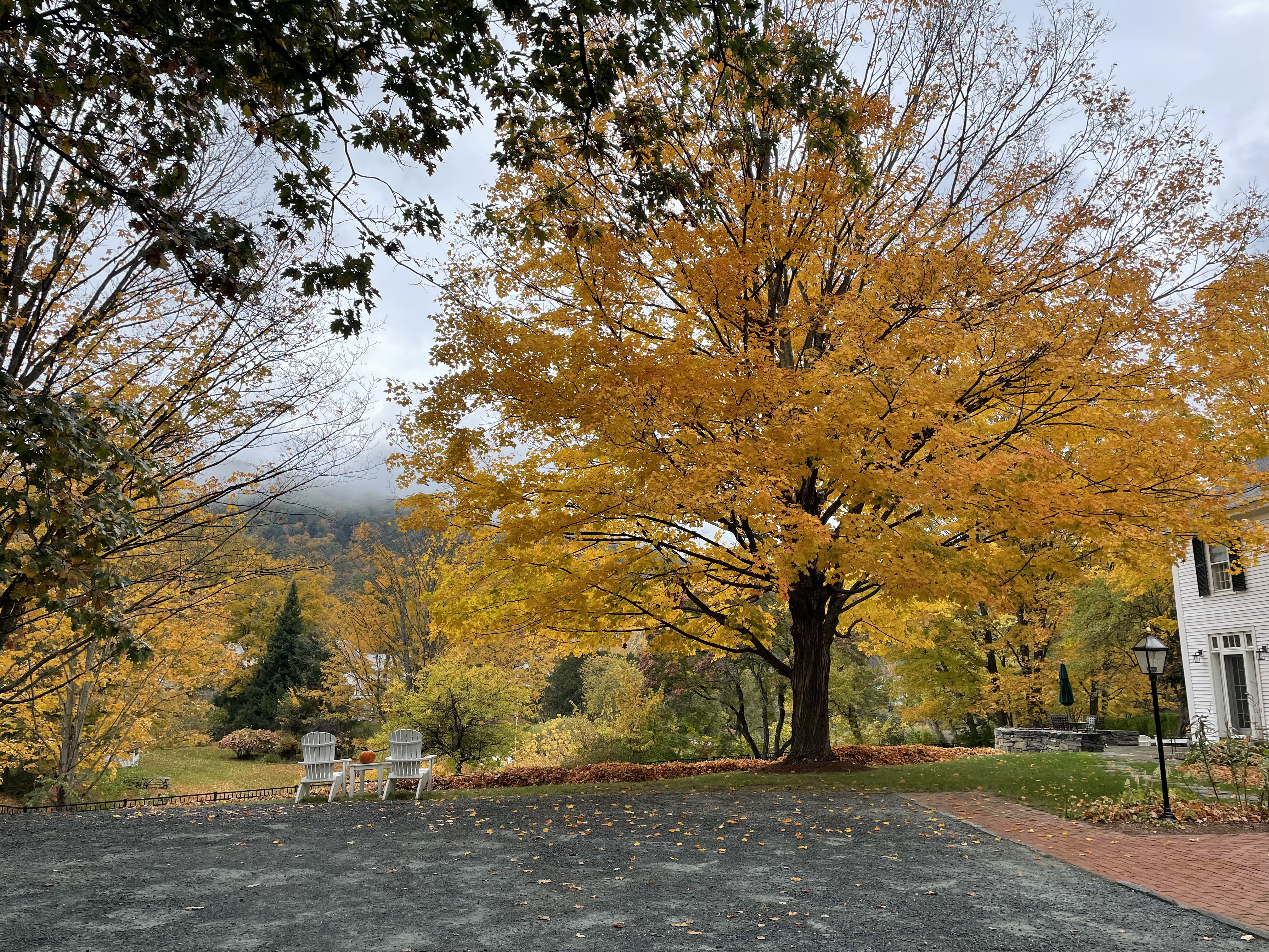 Fall foliage in Woodstock Vermont