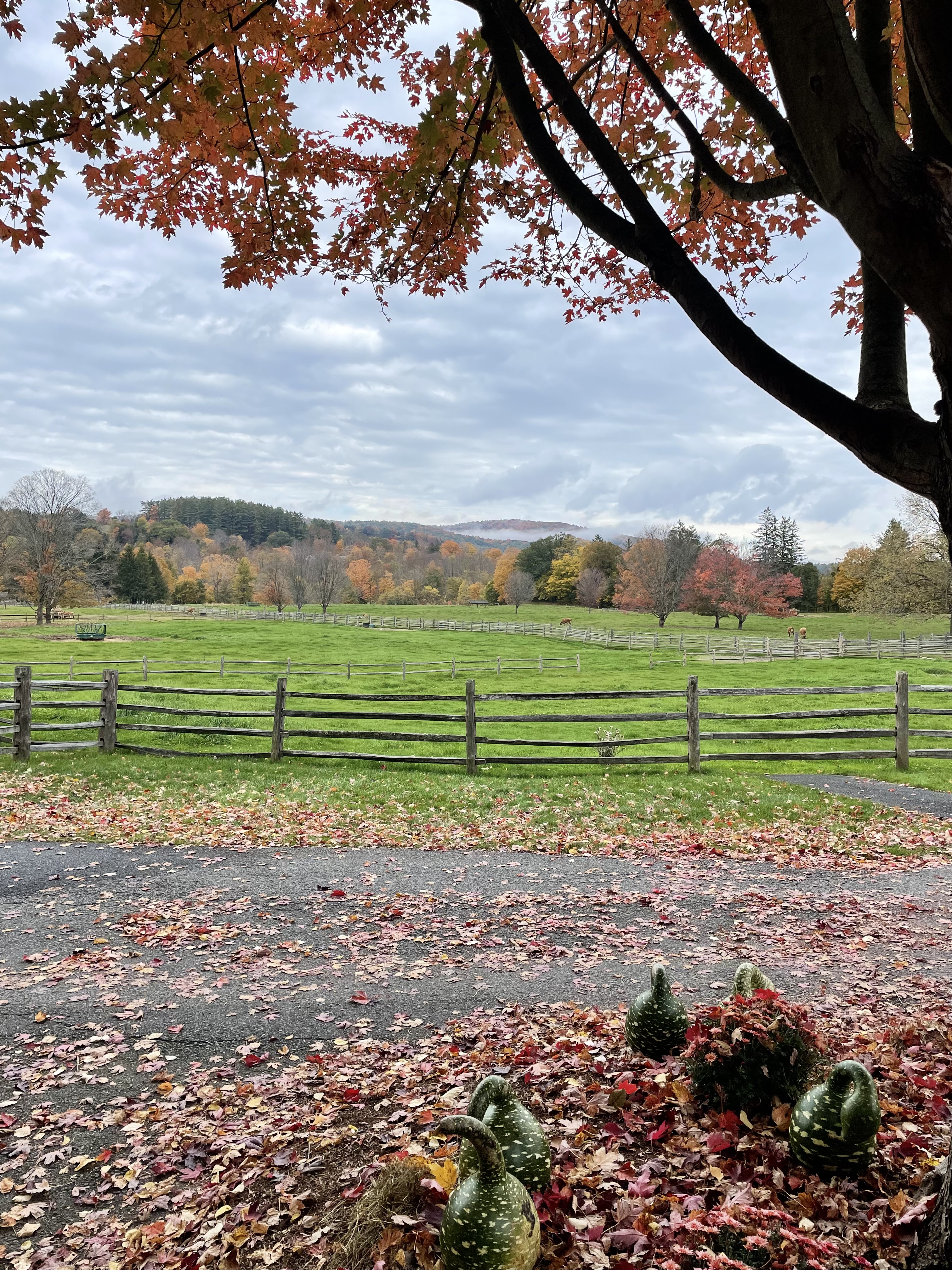 Billings Farm and Museum