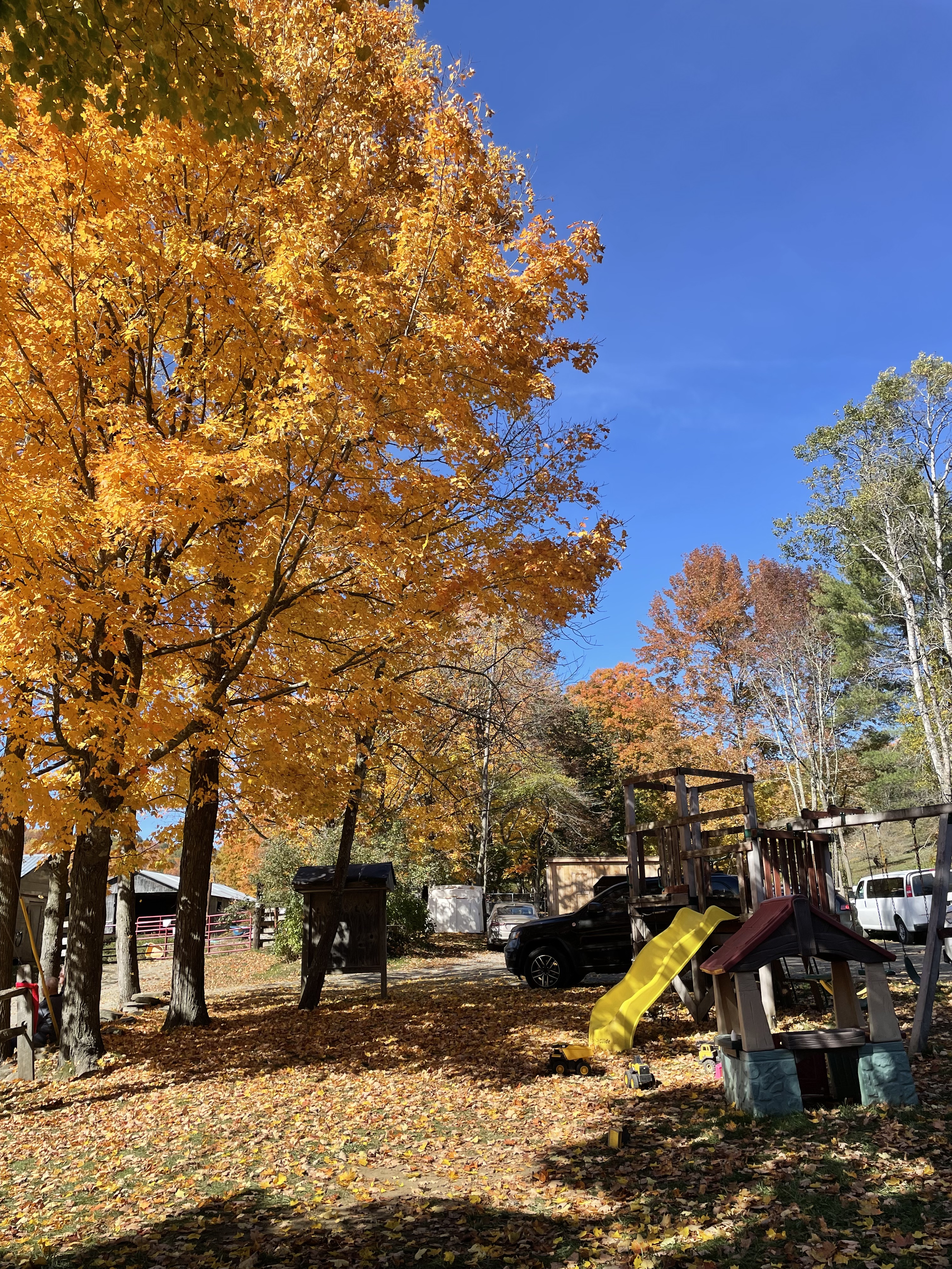 Fall foliage at Sugarbush Farm