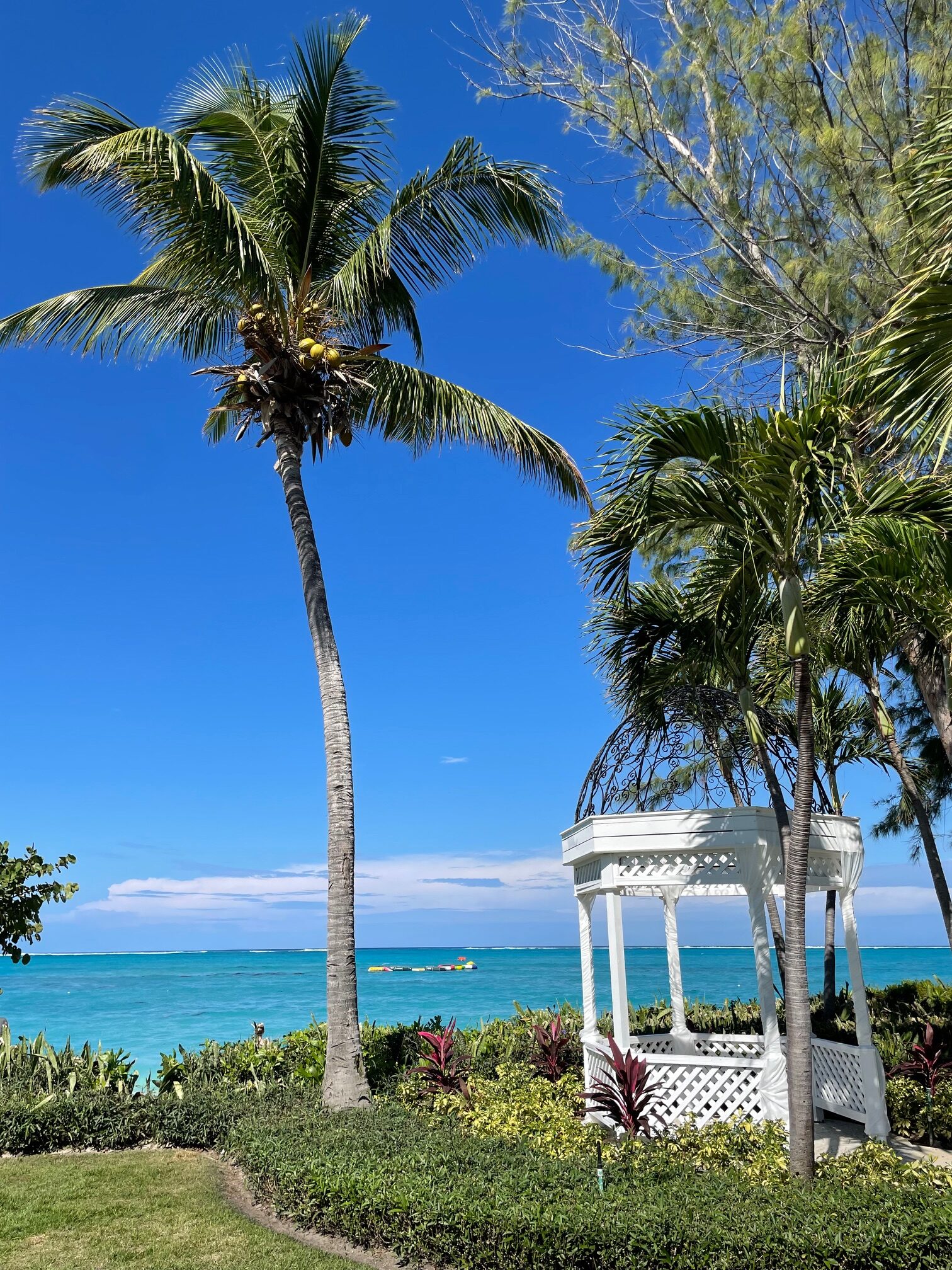 Beaches Turks and Caicos does a very nice job with landscaping, which puts you in vacation mode immediately